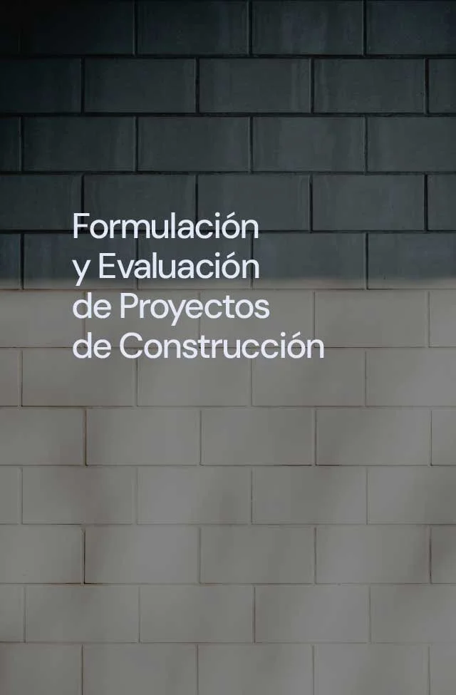 Formulación y Evaluación Proyectos