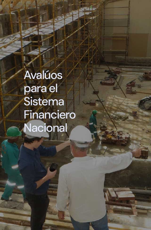 MainCel (1).jpg