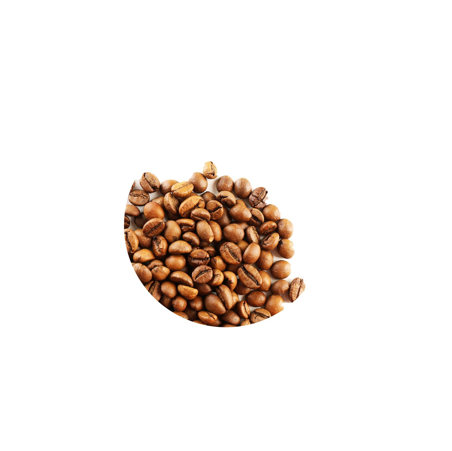 Light coffee-01.jpg