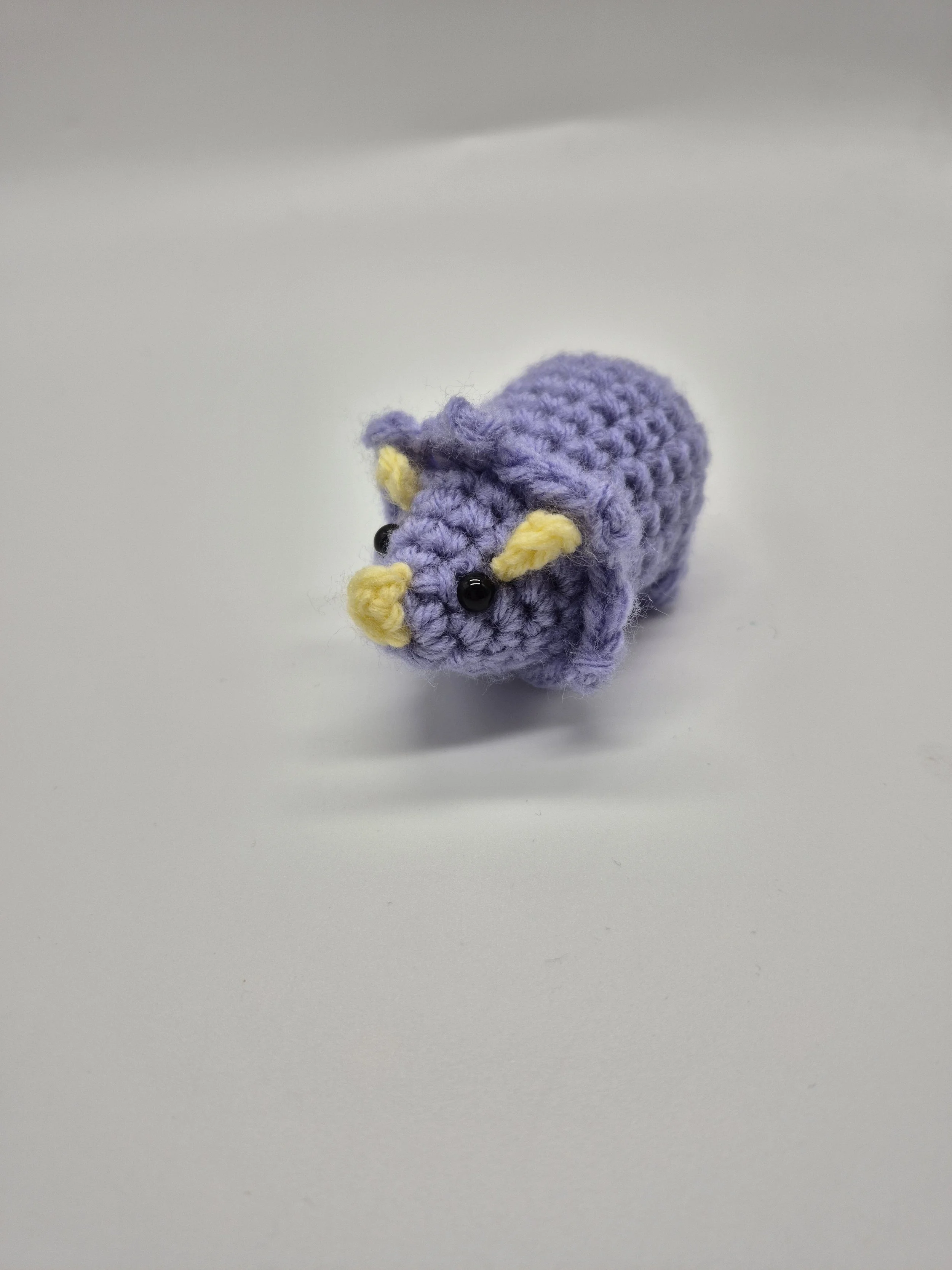 Mini Triceratops