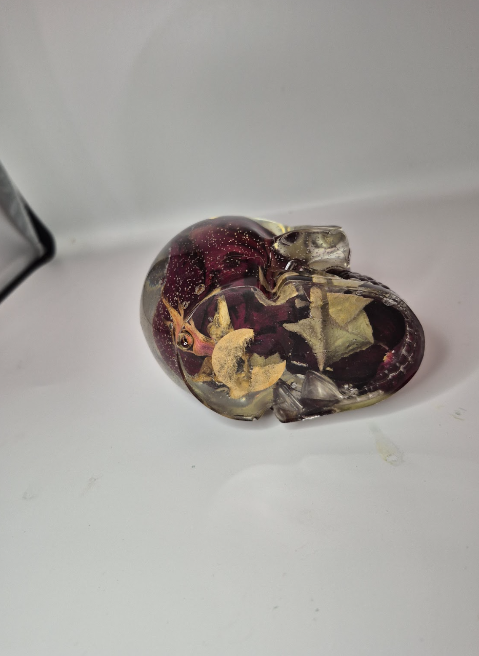 Screenshot 2026-01-19 at 11.46.02 PM.png