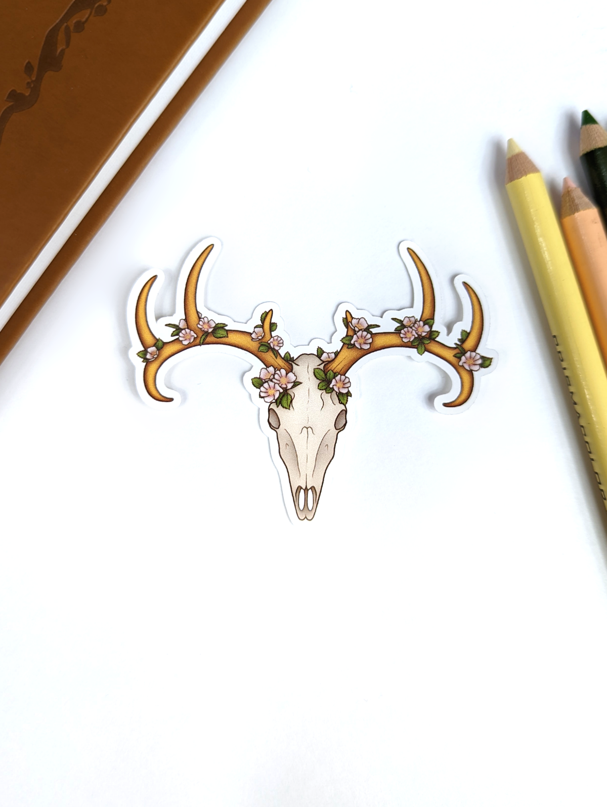 Wild Rose Deer Skull Print