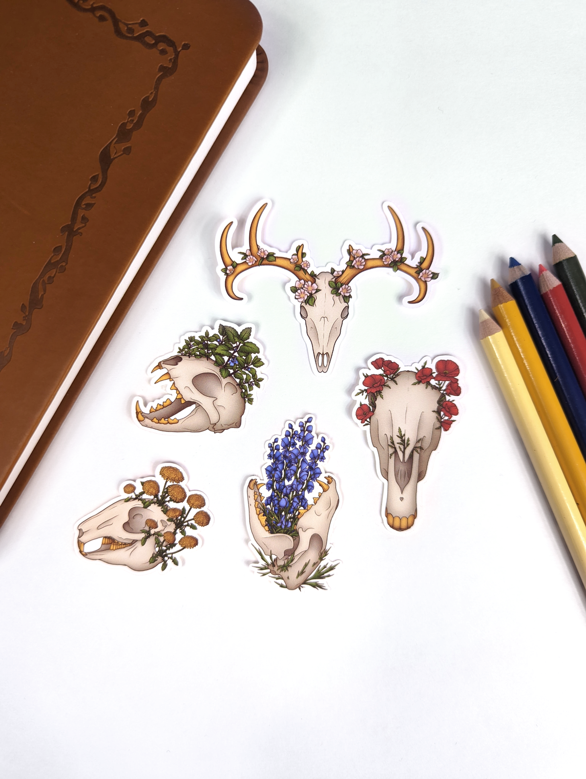 Bursting Florals Skull Sticker Set