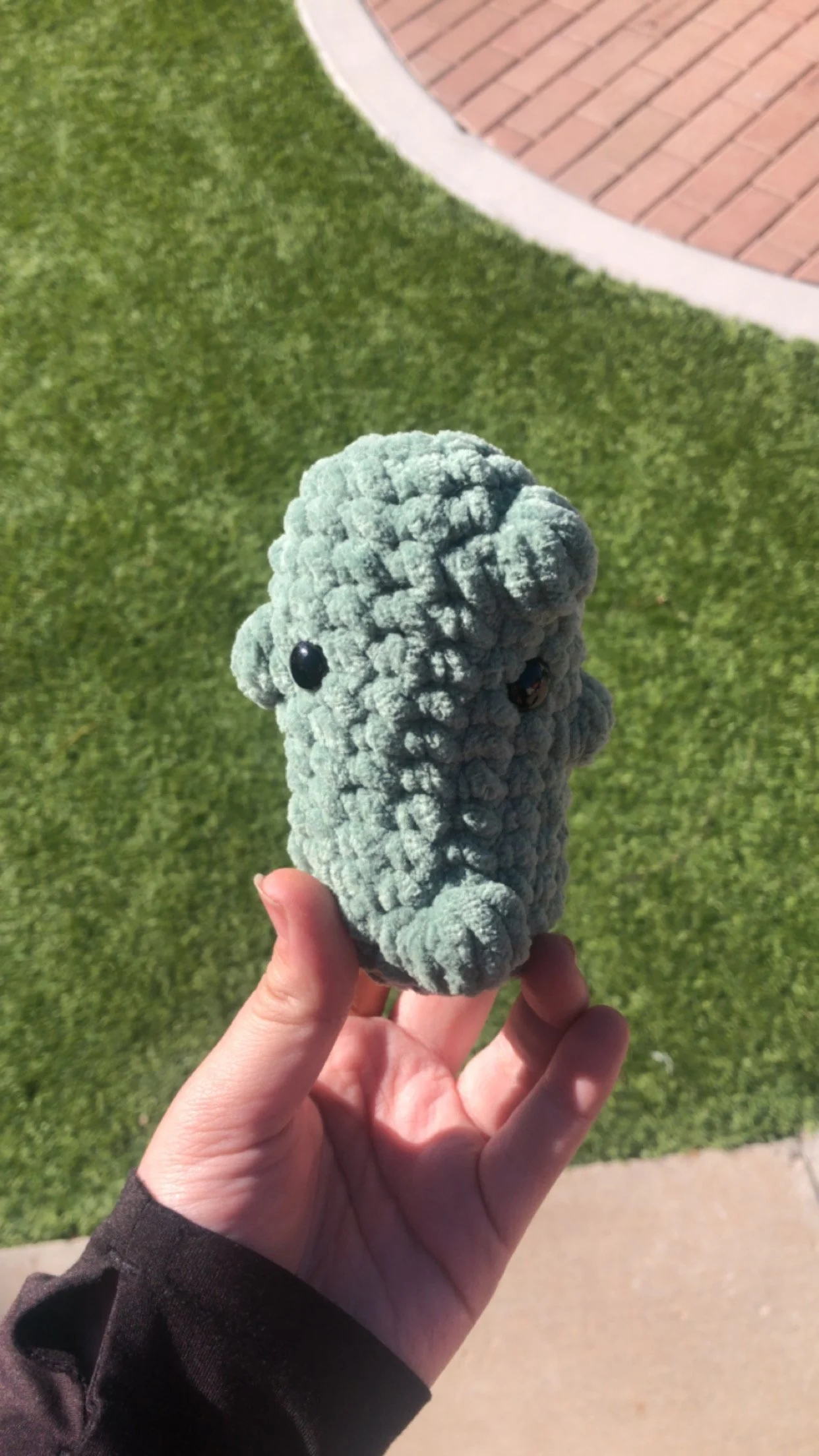 Small Crochet Pickle
