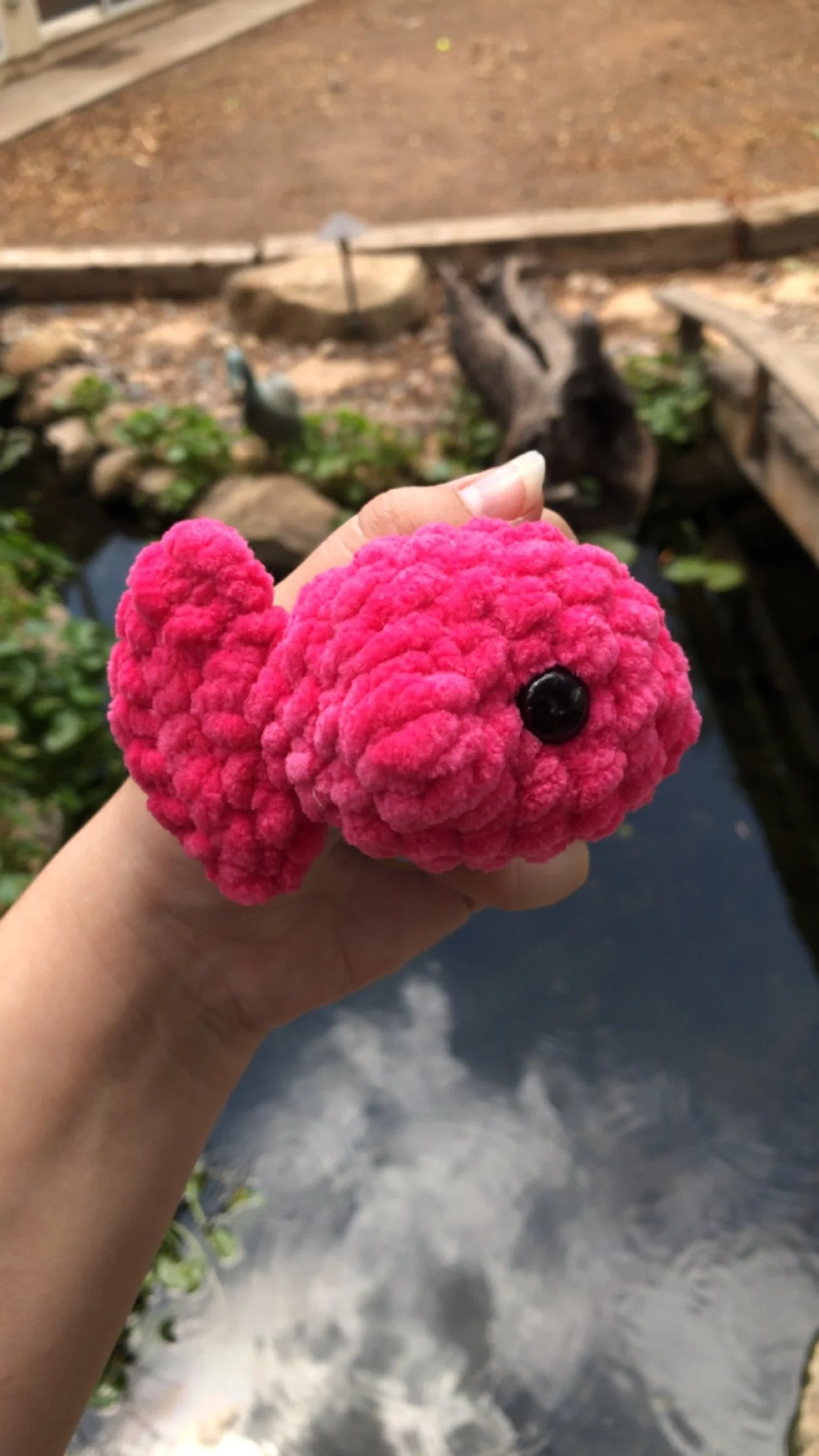 Baby Fish