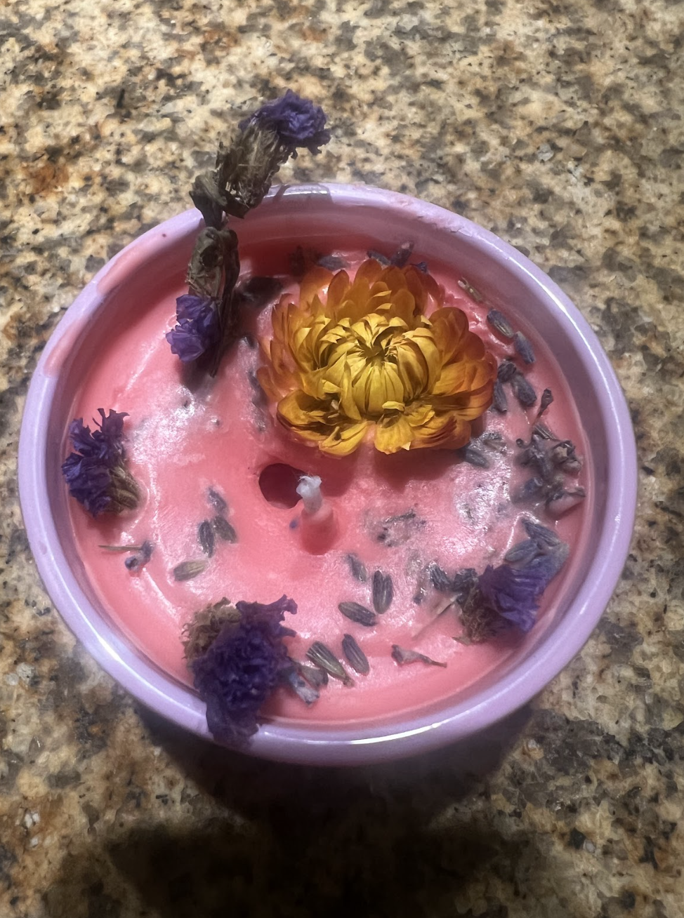 Screenshot 2026-03-30 at 2.08.35 AM.png