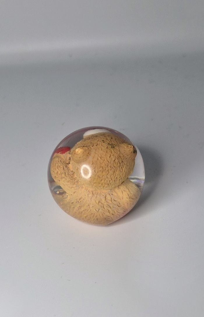 Screenshot 2026-02-25 at 7.21.25 AM.png