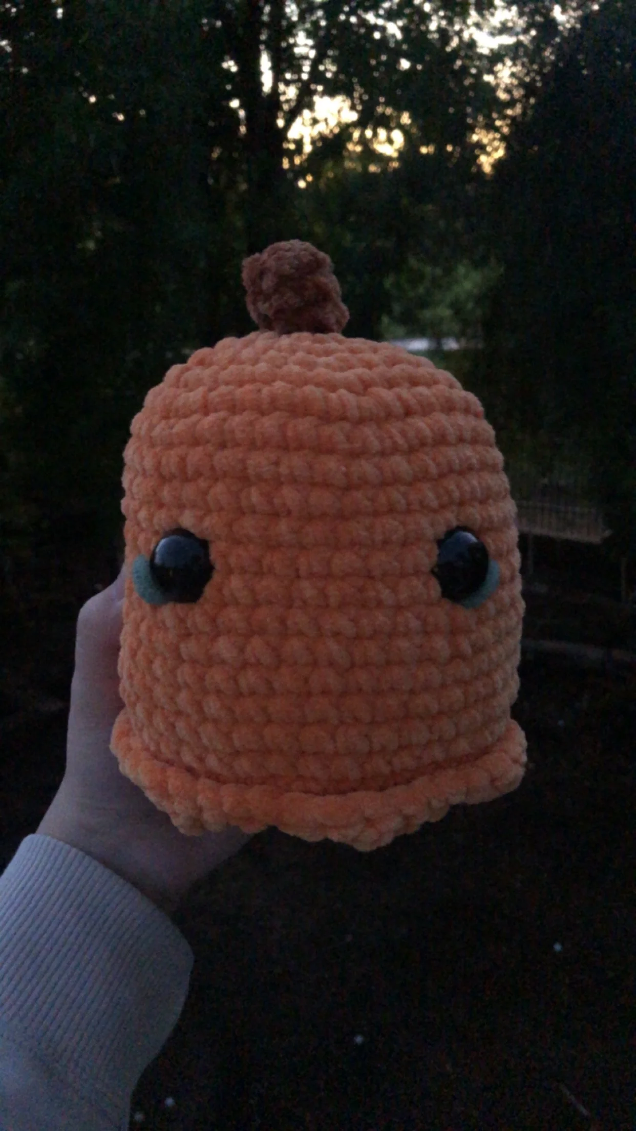 Giant Pumpkin Ghost.JPG