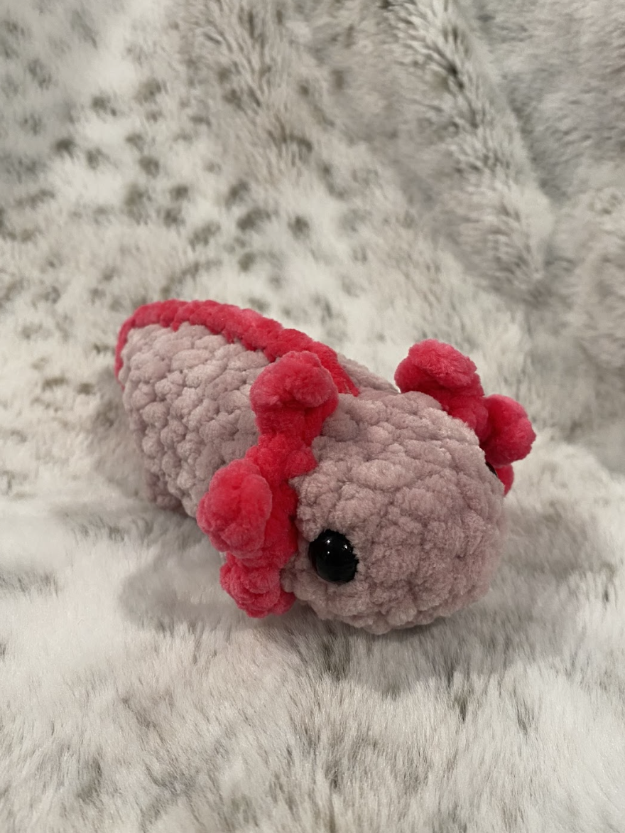 Screenshot 2026-02-25 at 8.11.55 AM.png