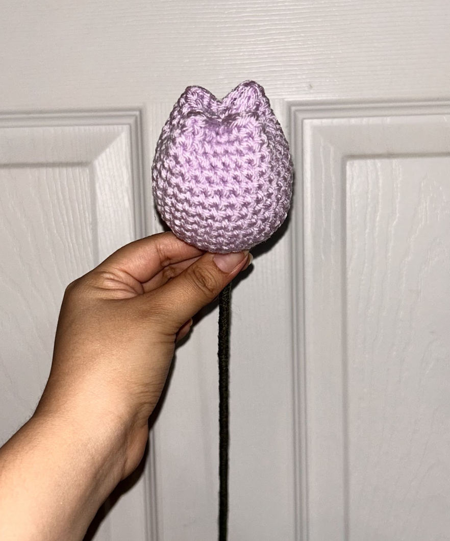 Crochet Tulips