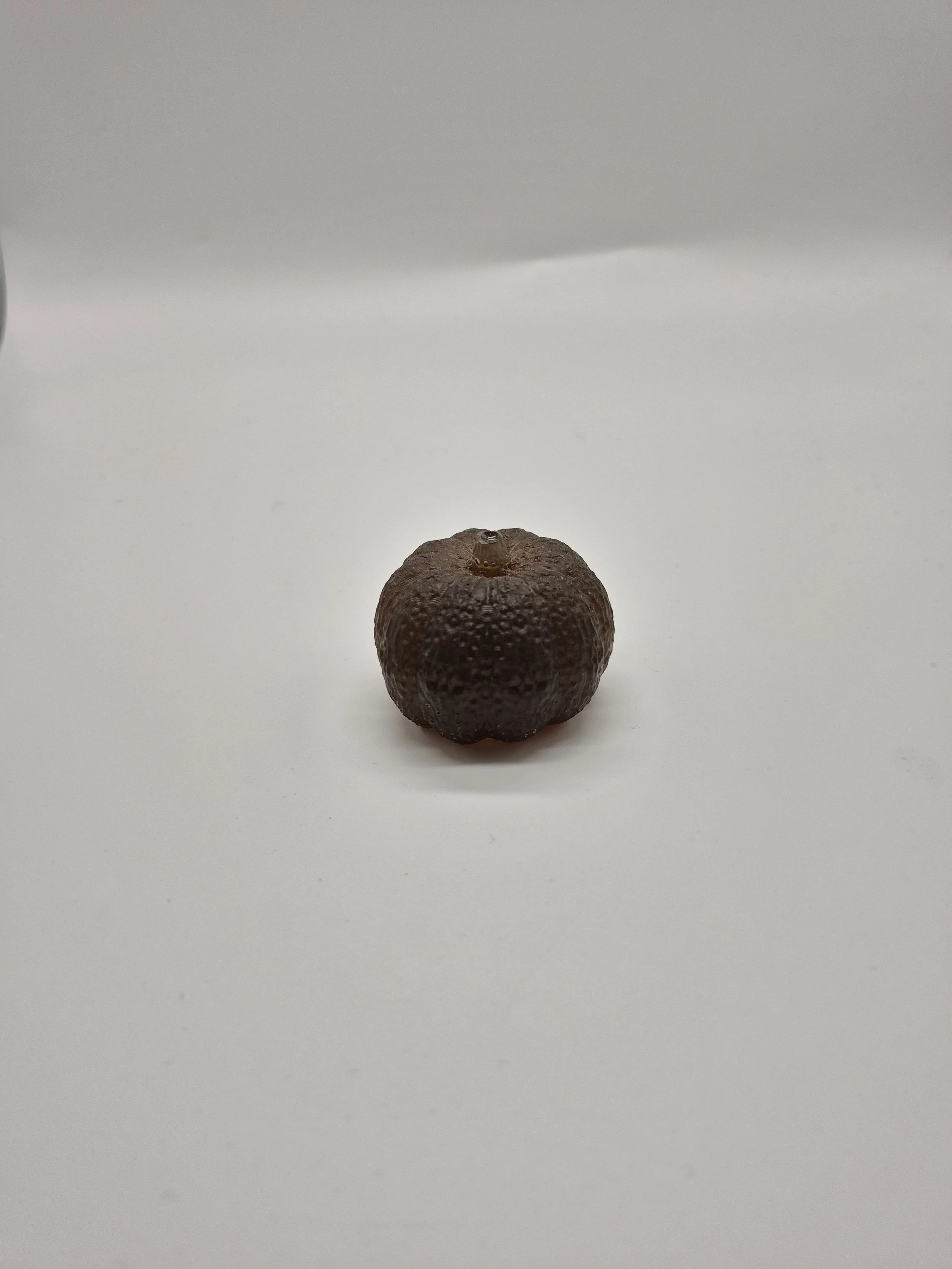 20260803_194609.jpg