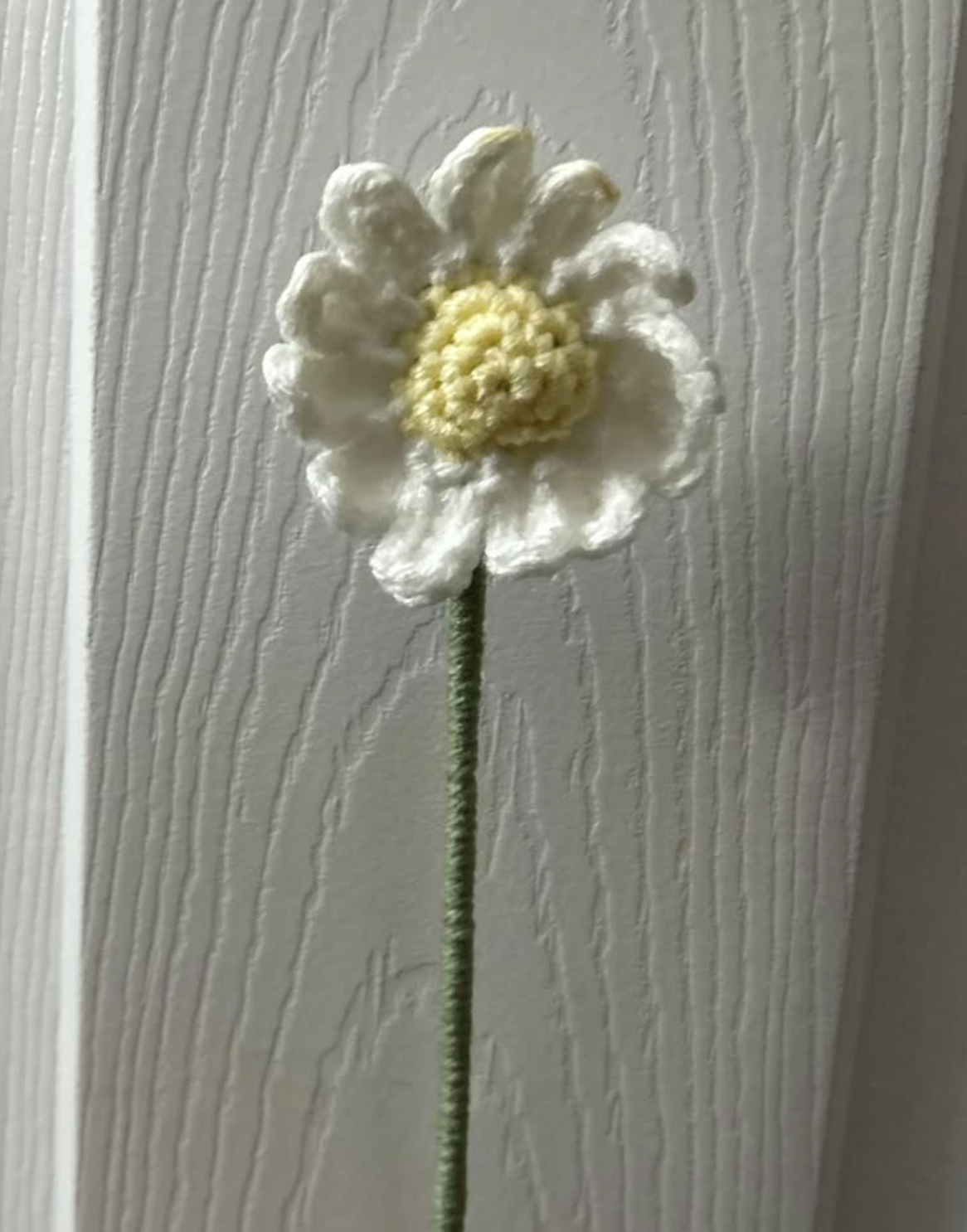 Crochet Daises