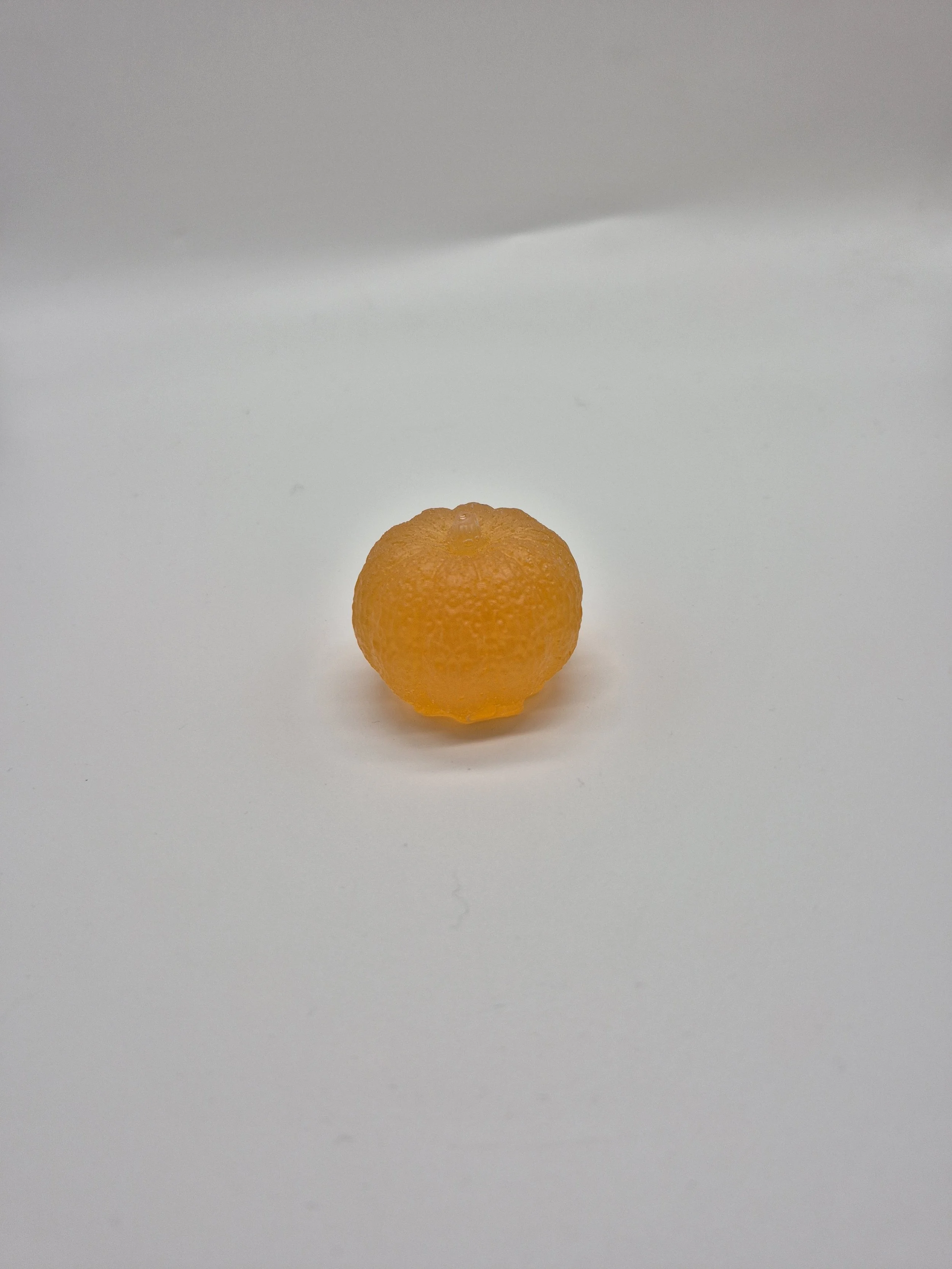 20260803_194647.jpg