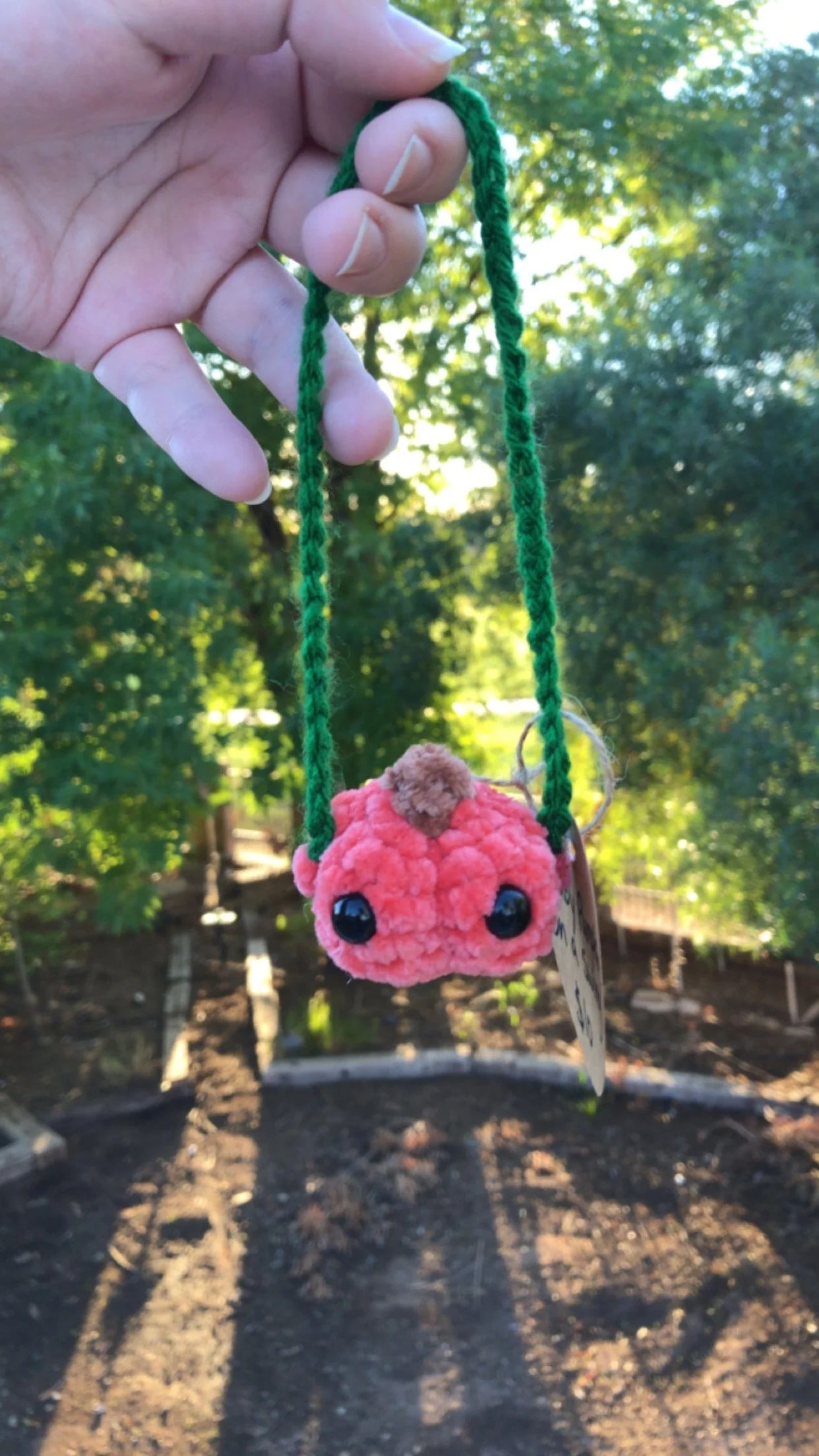 Baby Pumpkin on a Swing.JPG
