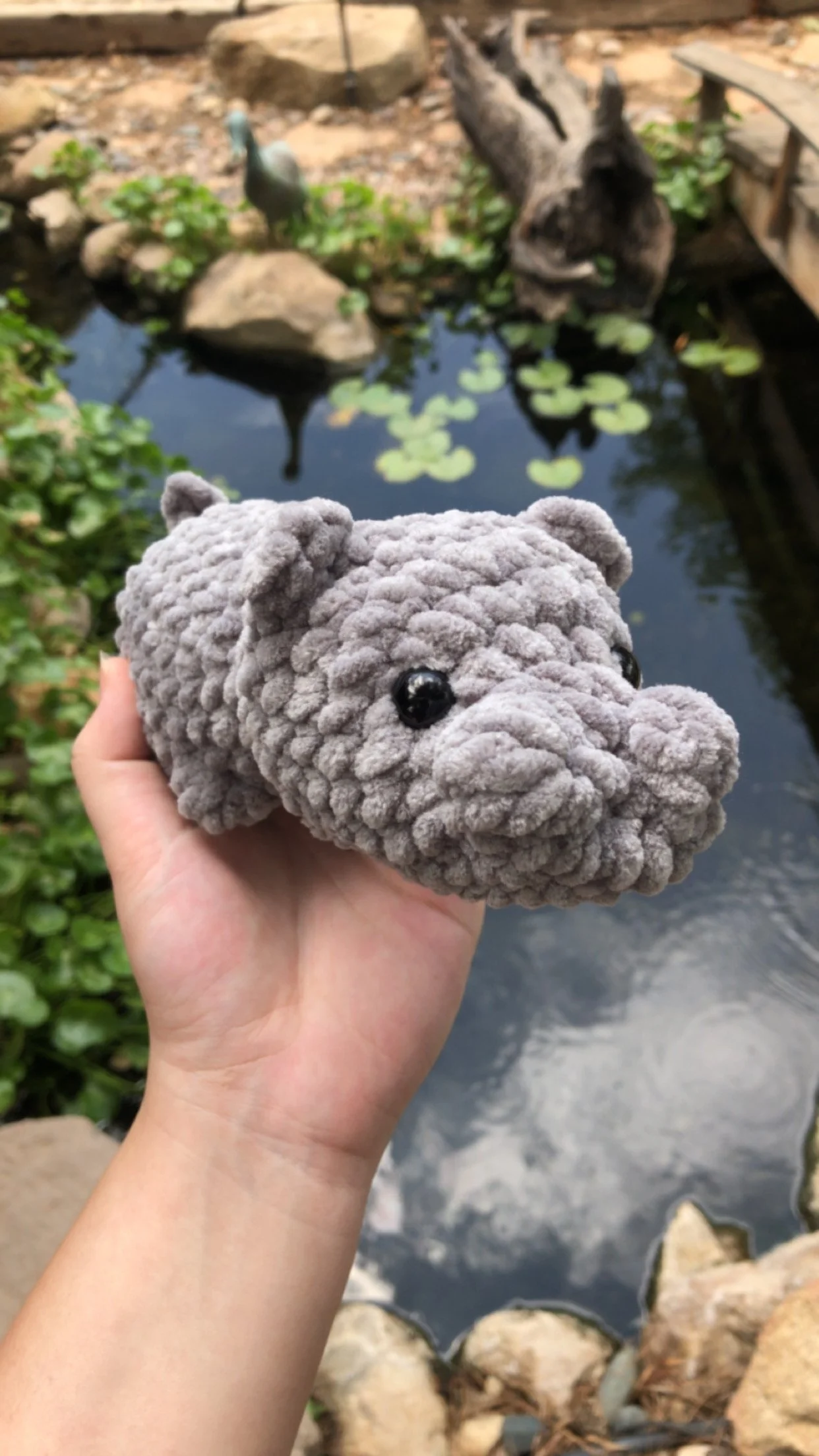 Small Hippo