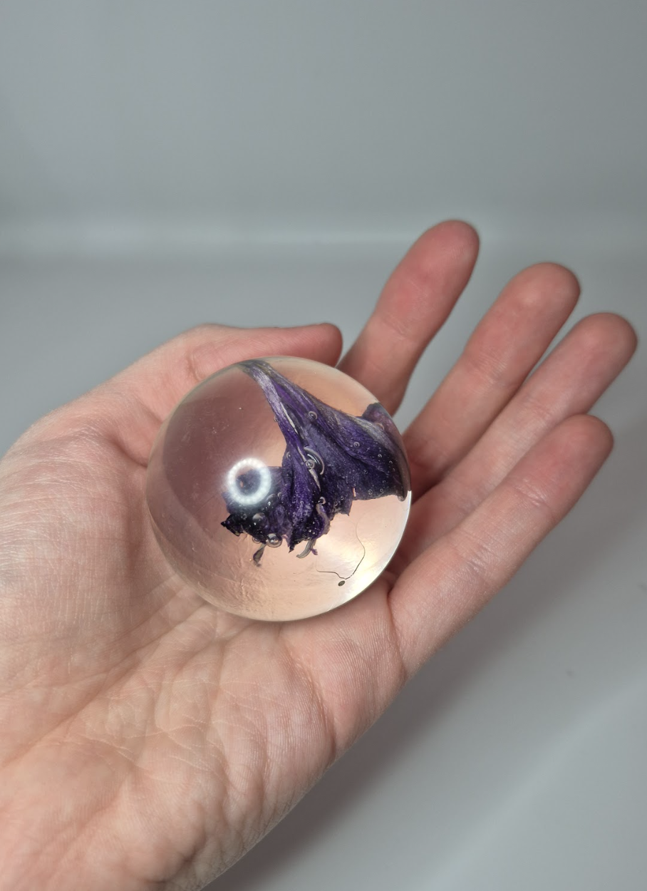 Screenshot 2026-01-20 at 12.04.08 AM.png