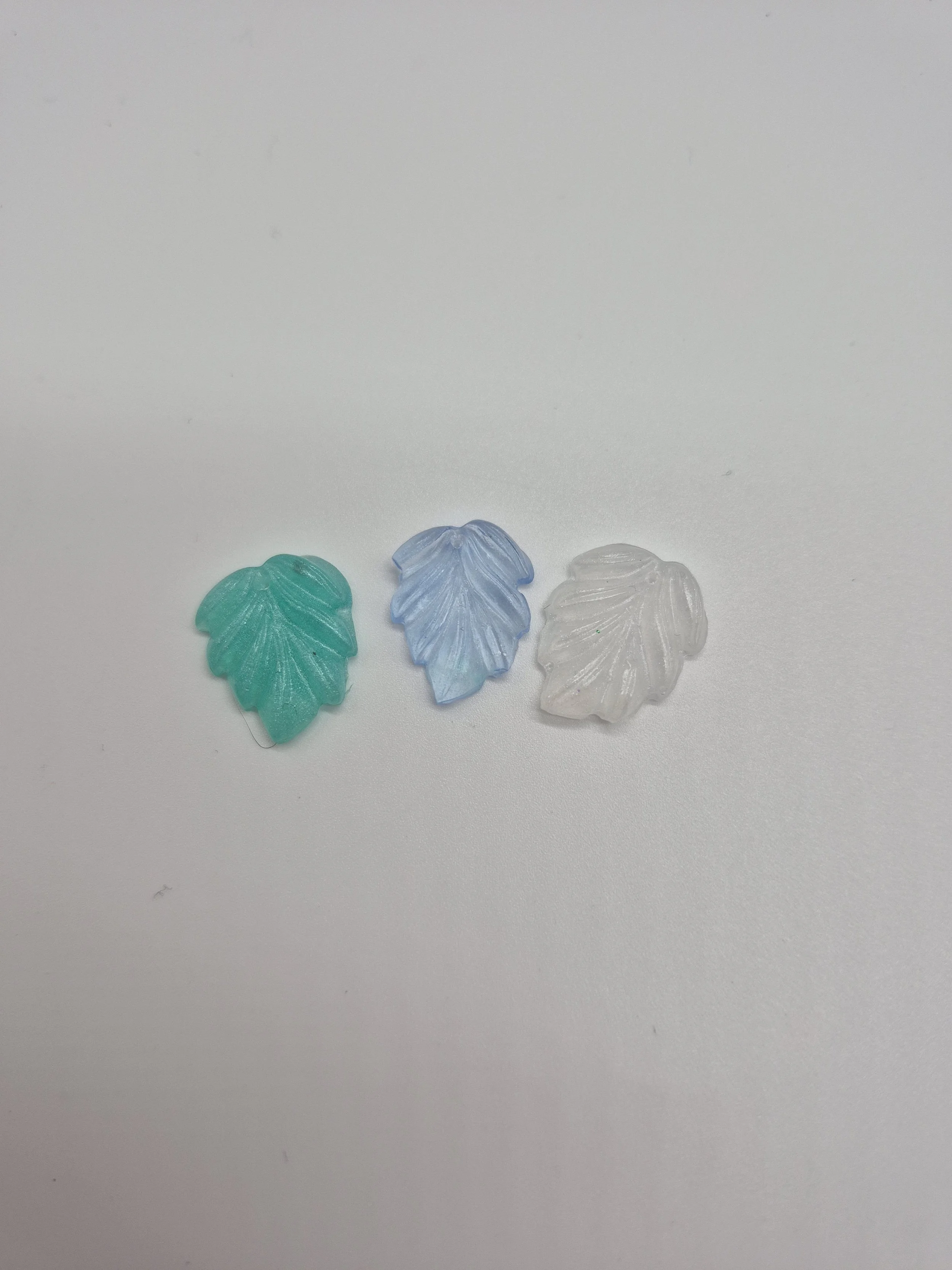 20260731_171534.jpg