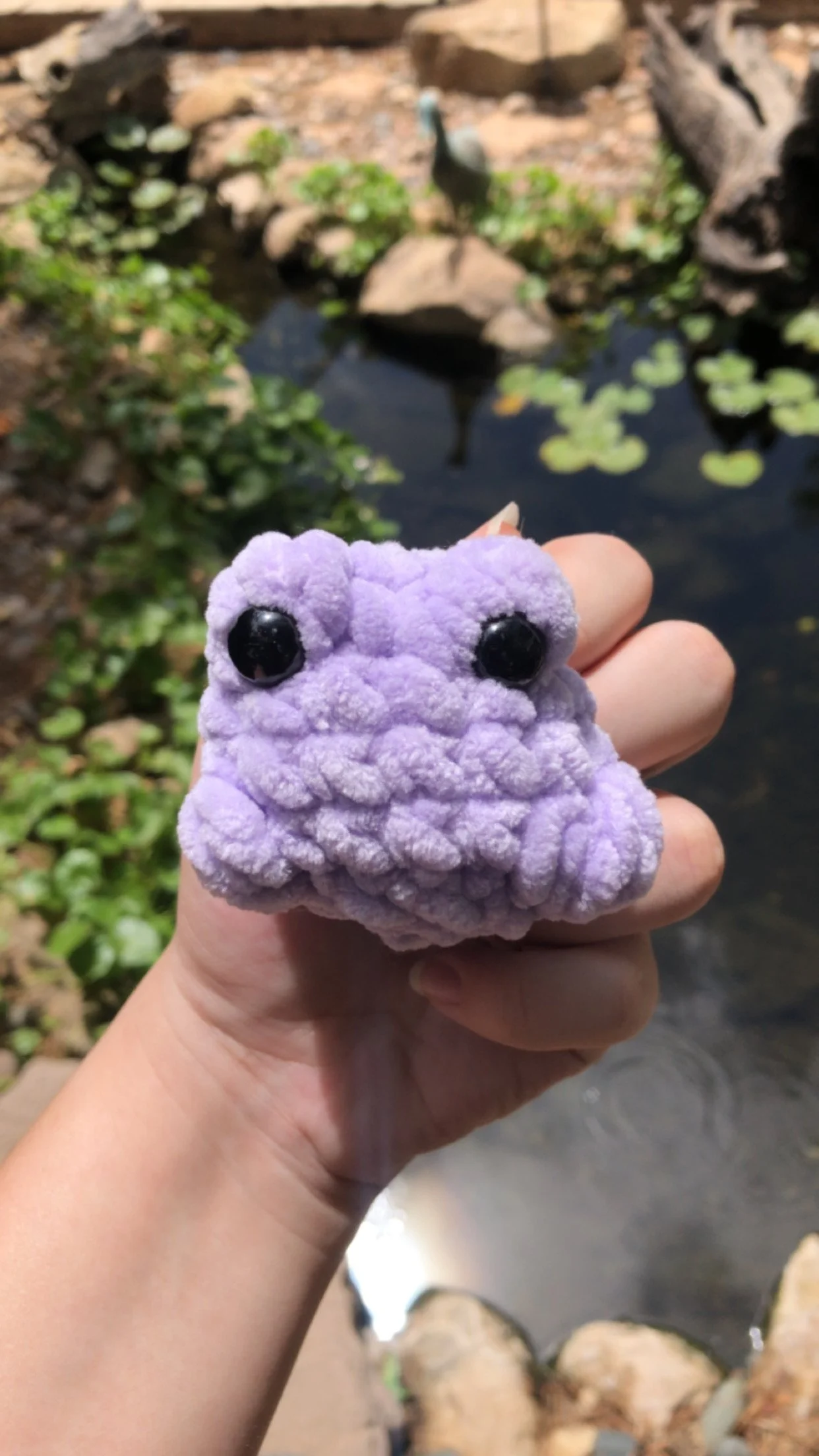 Baby Frog