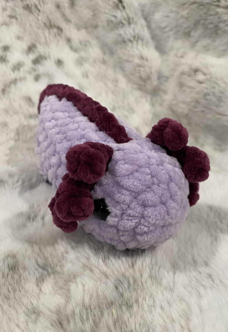 Screenshot 2026-02-25 at 8.12.07 AM.png