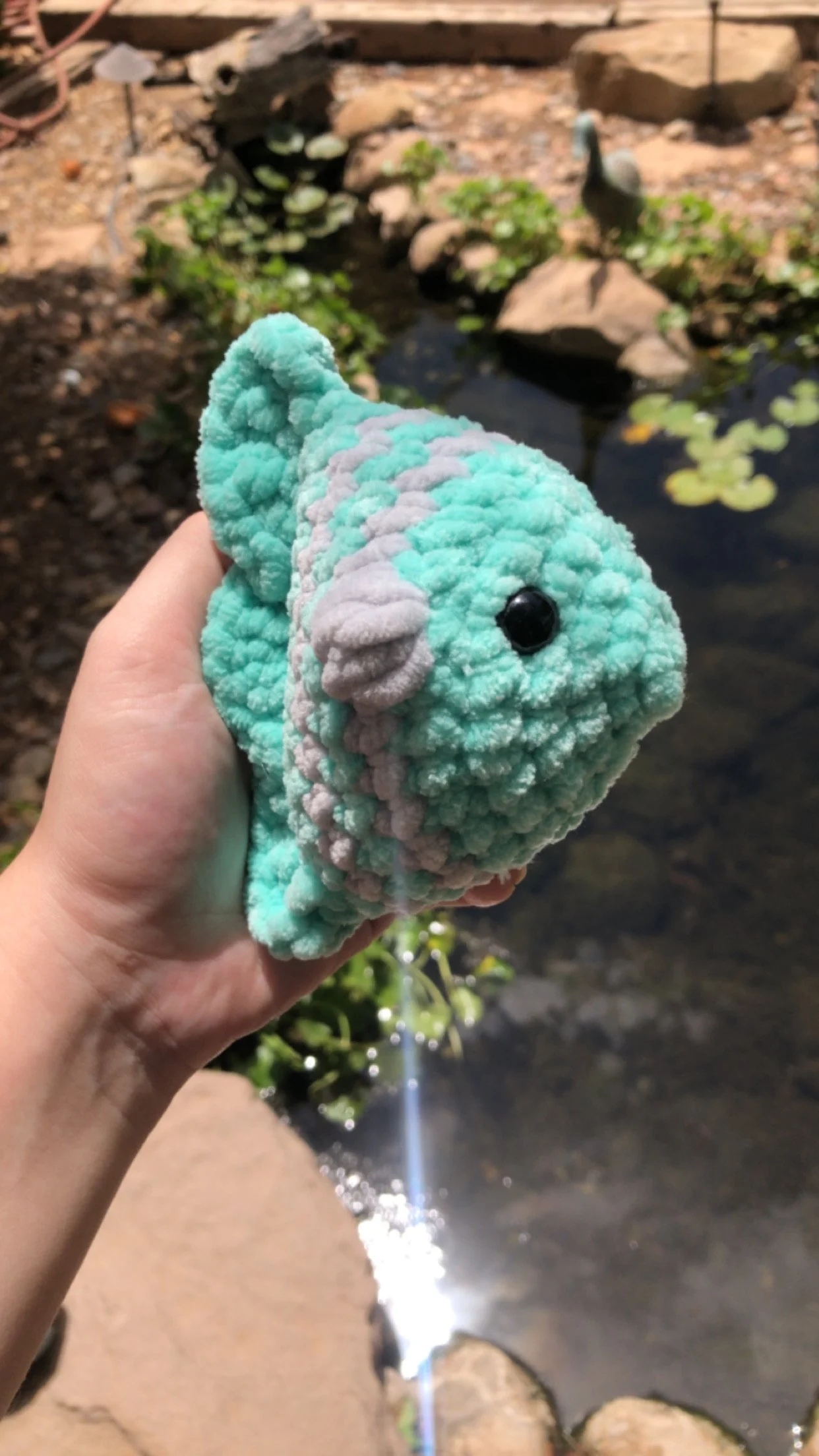 Striped Fish