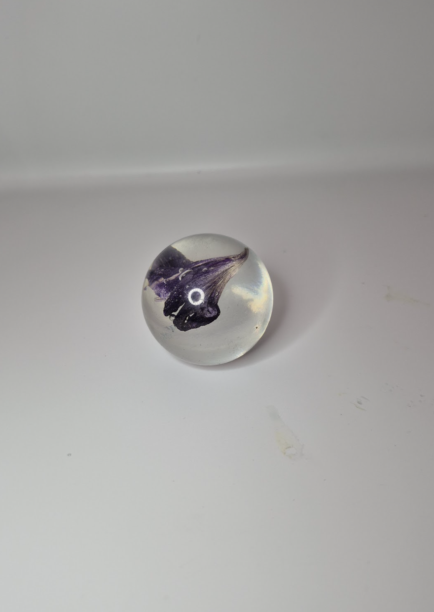 Screenshot 2026-01-20 at 12.03.28 AM.png