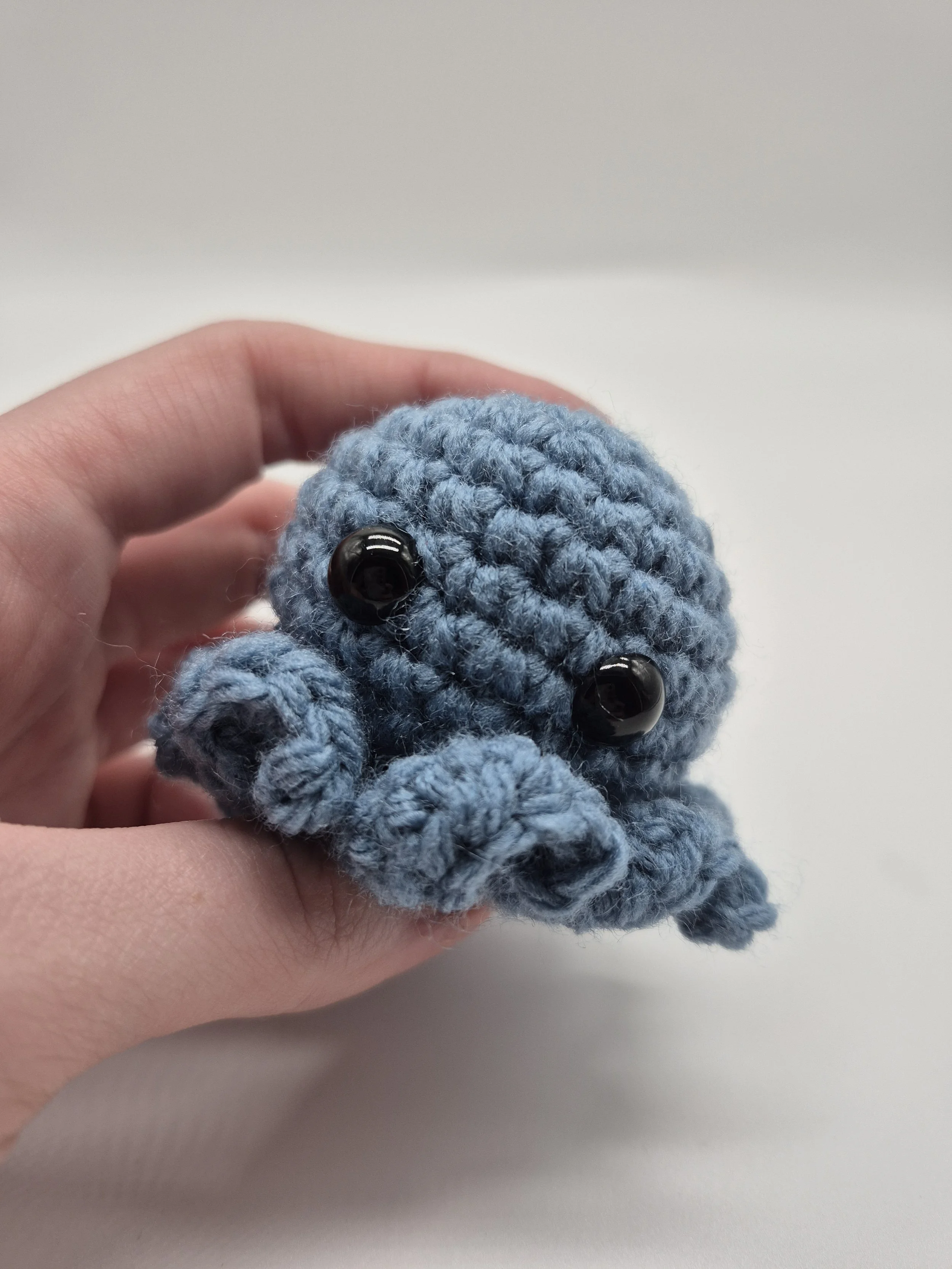 Small Octopus