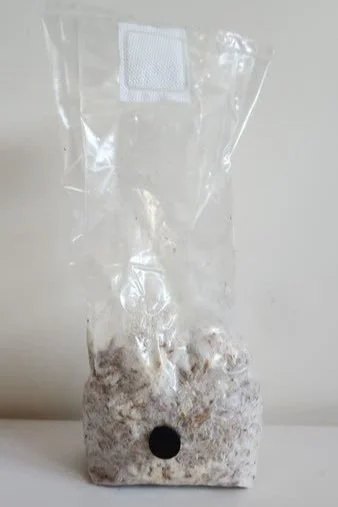Grain%2BSpawn.jpg