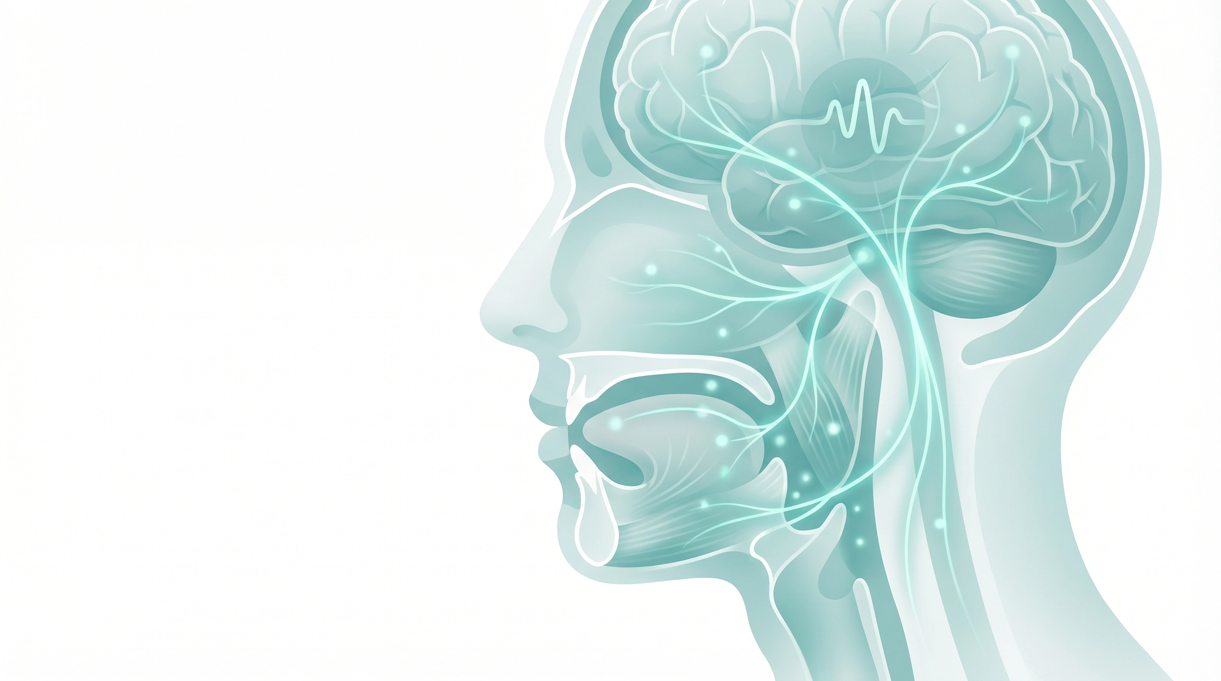The Importance of Neuromuscular Reeducation in Myofunctional Therapy