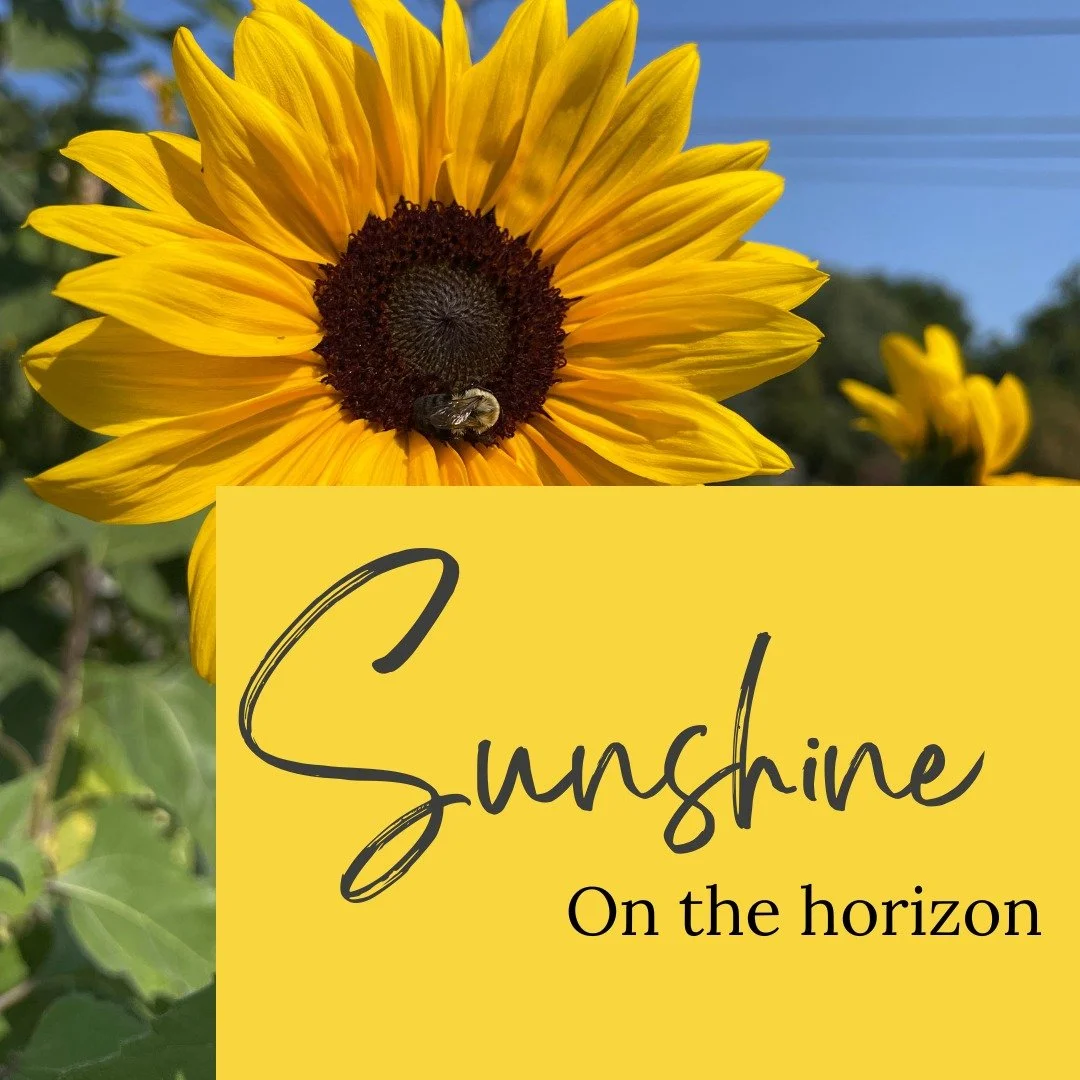 Every dream begins with a seed. You water it, wait, trust, and one day—you see the first signs of bloom. 🌻
I’ve been planting behind the scenes, and sunshine is on the horizon. Can’t wait to share soon.