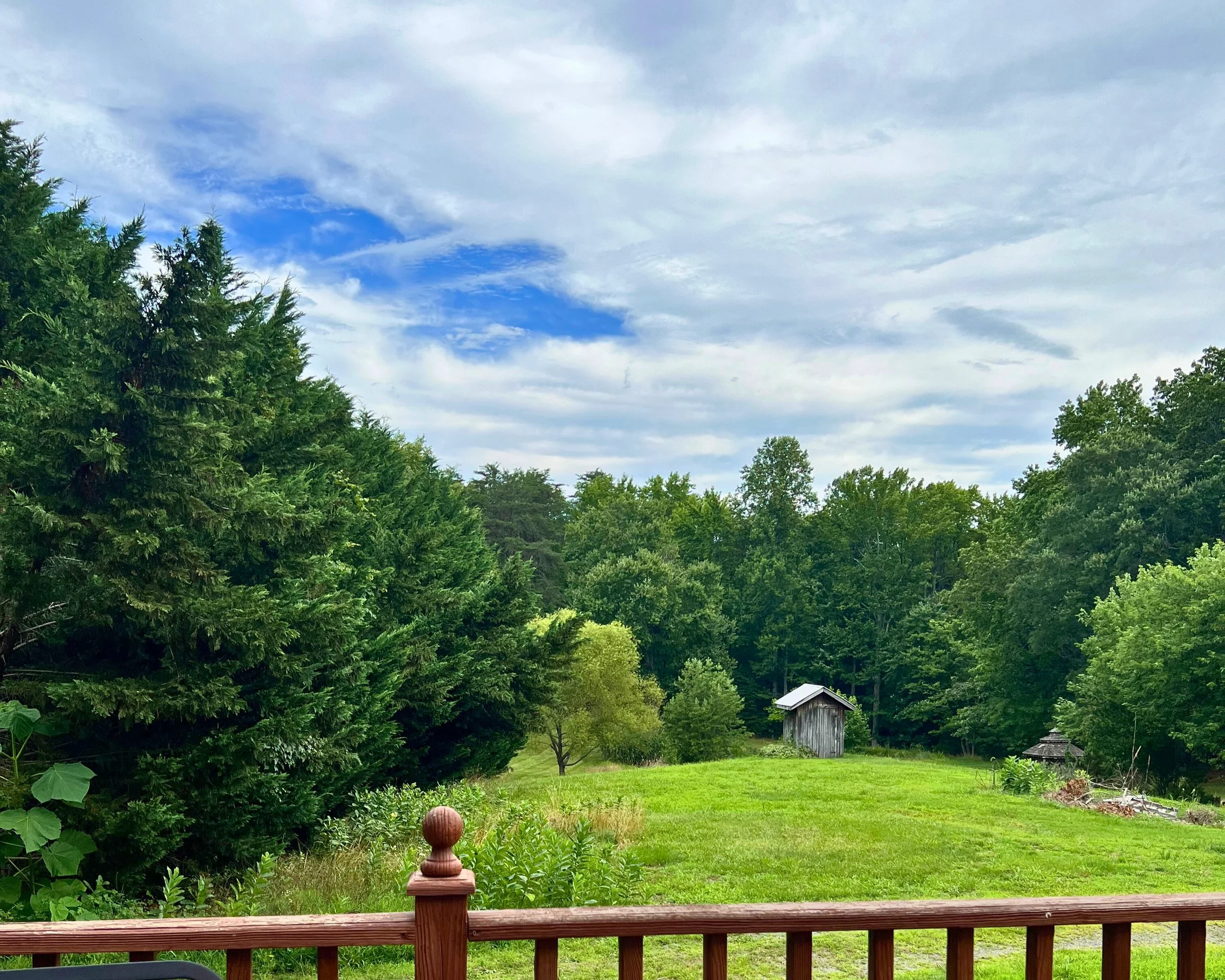 View from back deck
