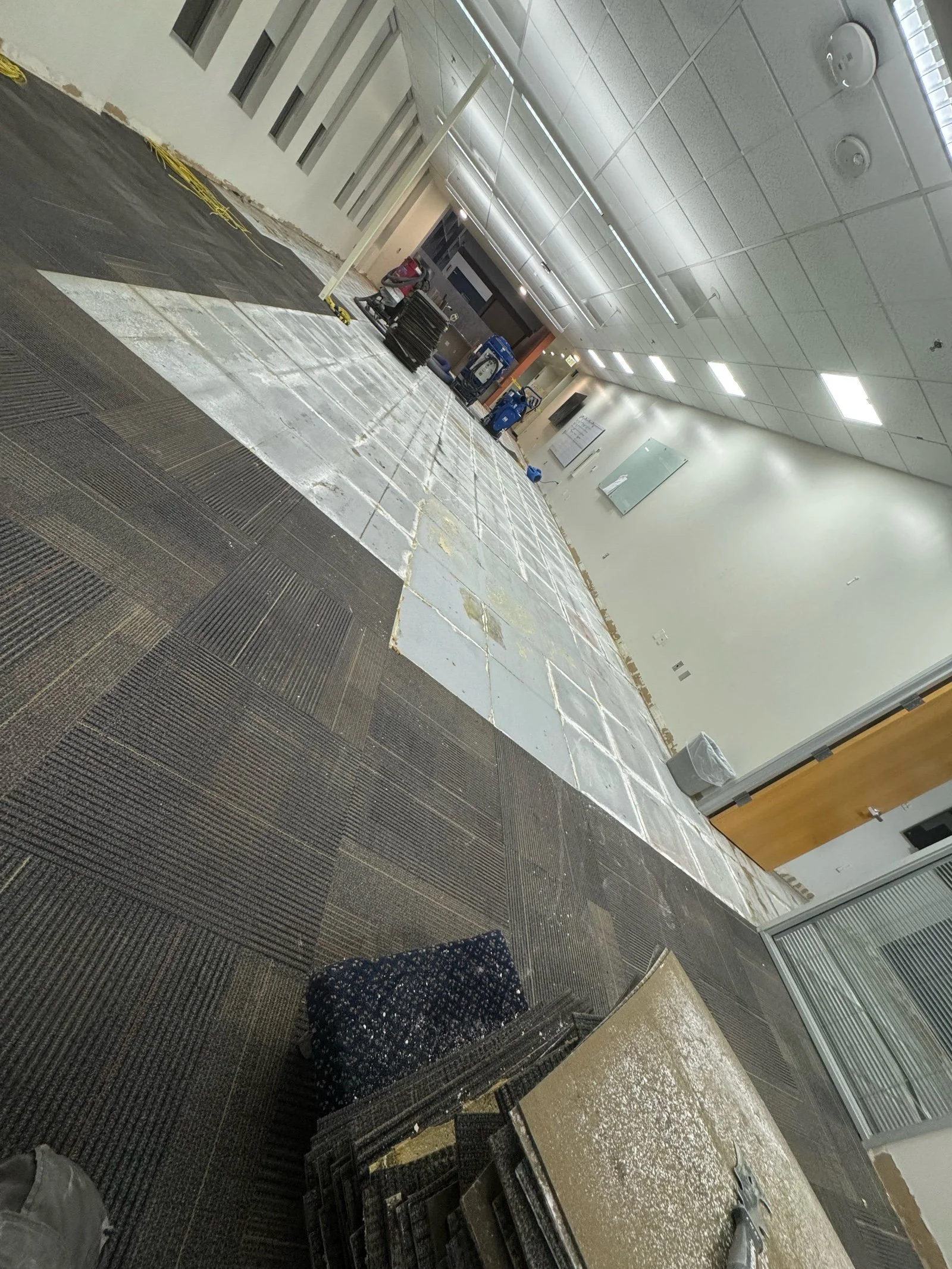 old carpet tile.jpg