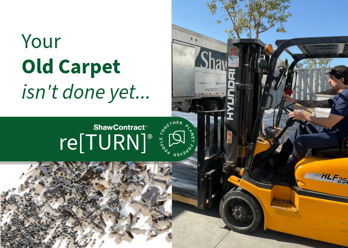 Your Old Carpet Isn't Done Yet…