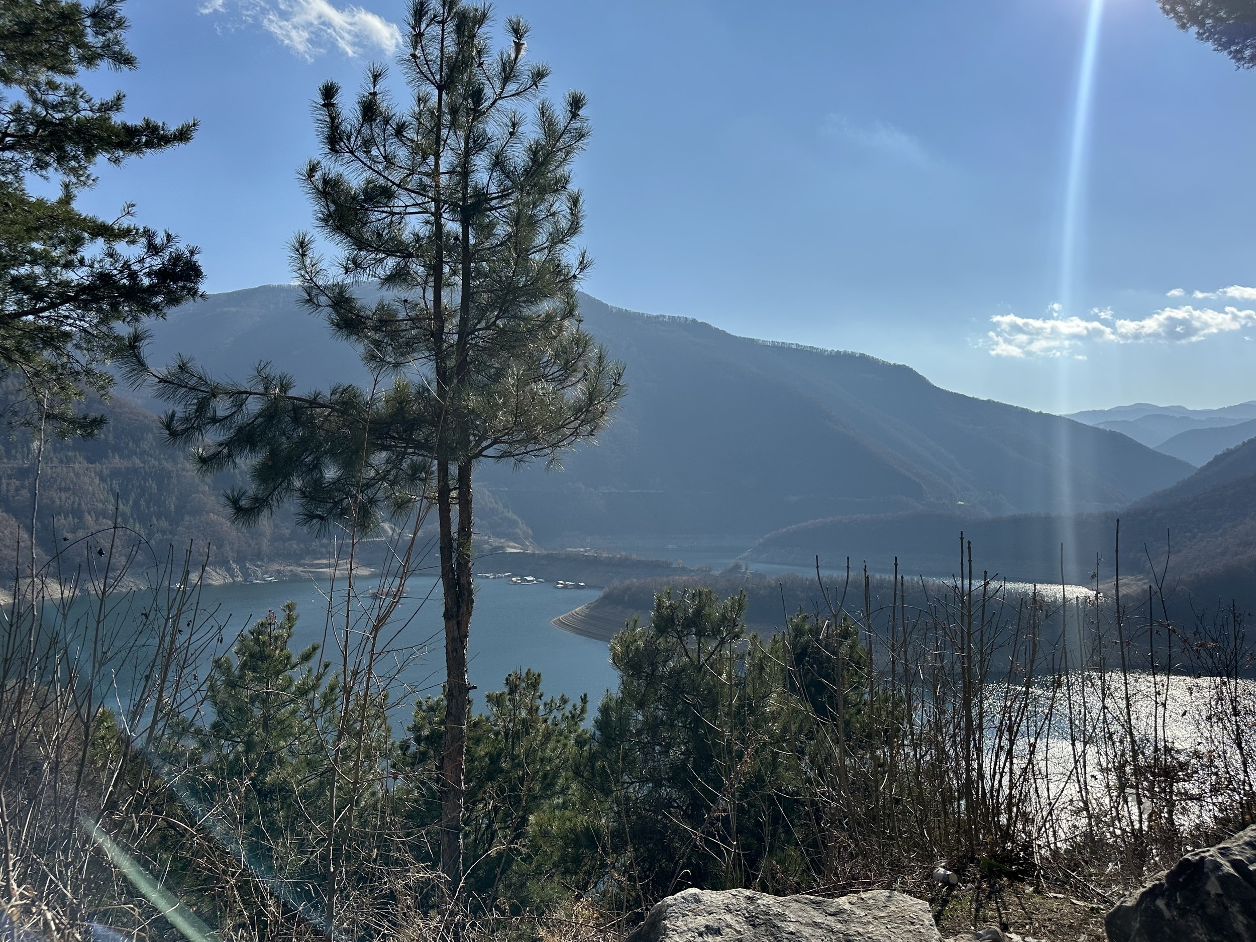 Scenic view of a lake surrounded by mountains, with a tree in the foreground, and sunlight streaming from a clear blue sky.