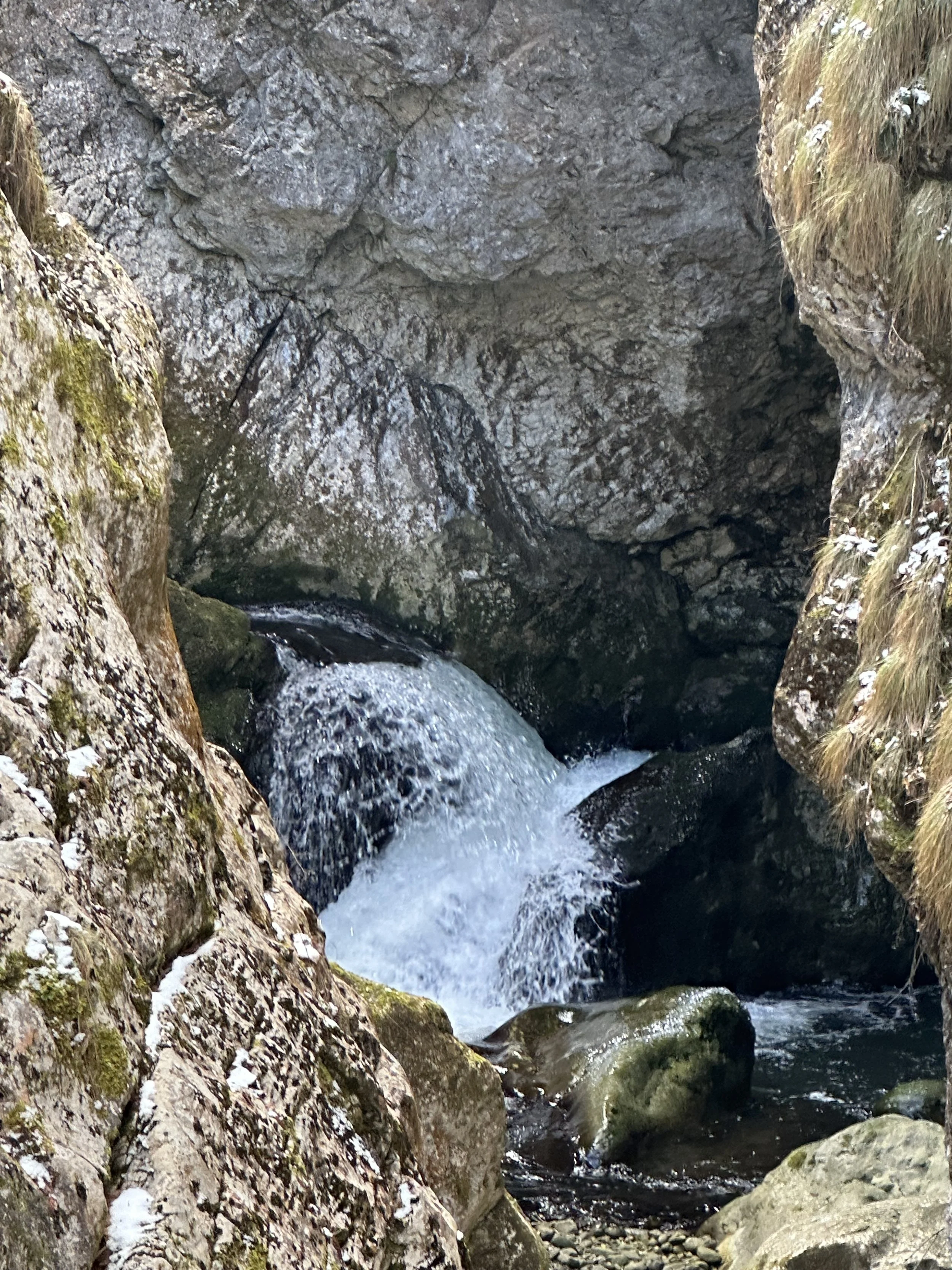 IMG_4080.jpeg
