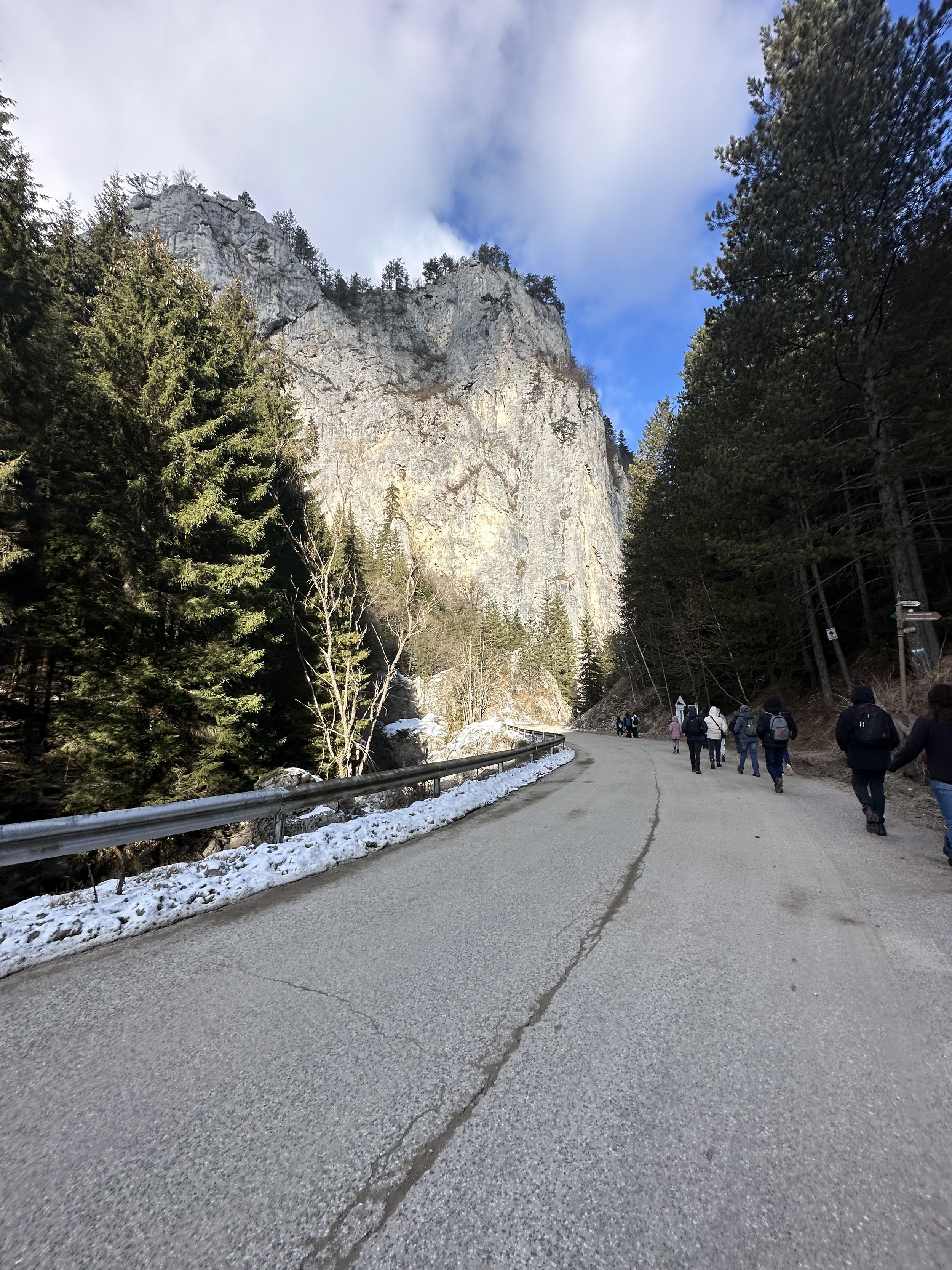 Scenic mountain road with people walking, surrounded by pine trees, rocky cliff, and snow patches under a blue sky.