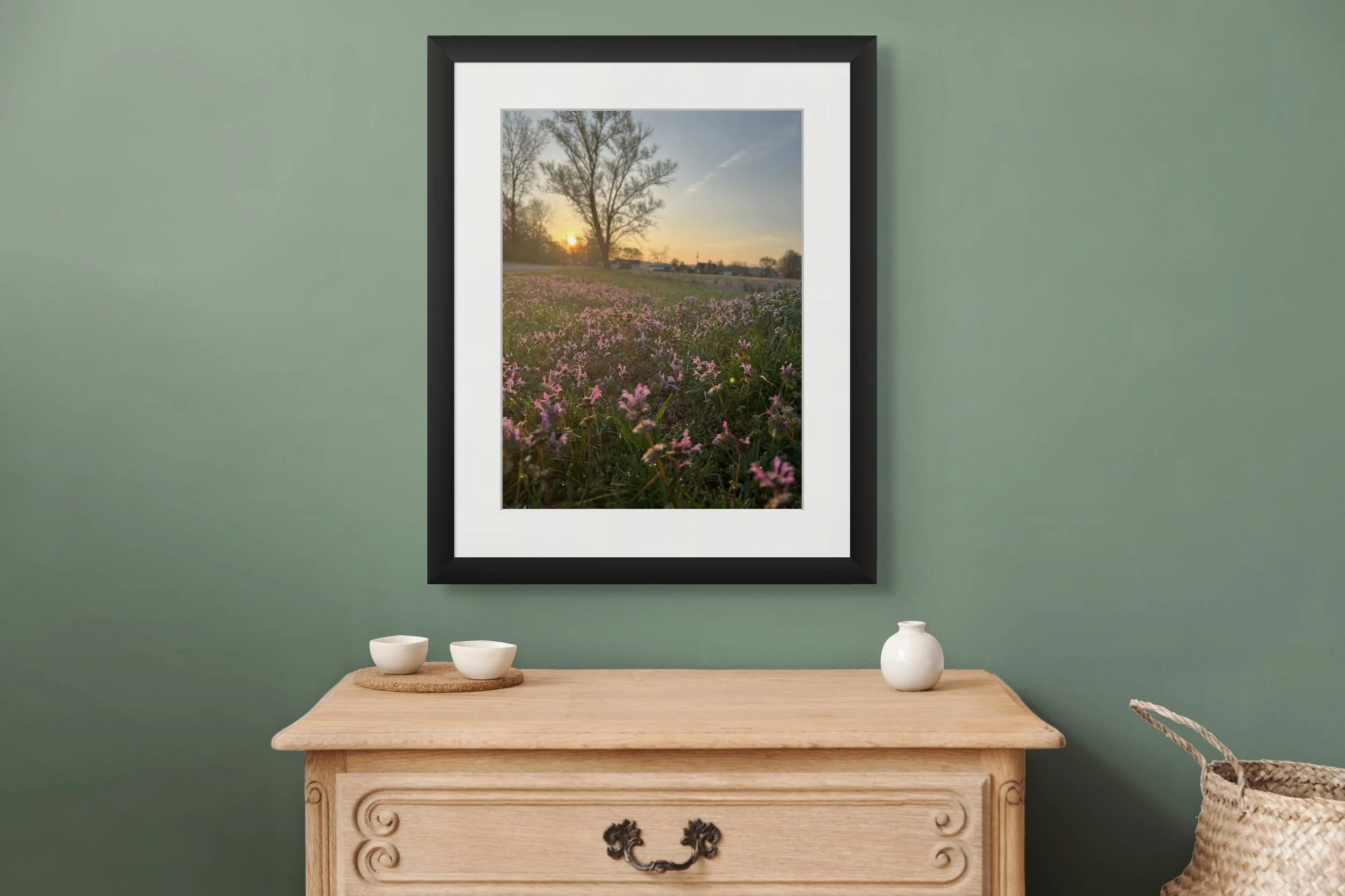 henbit at sunrise pp2.jpg