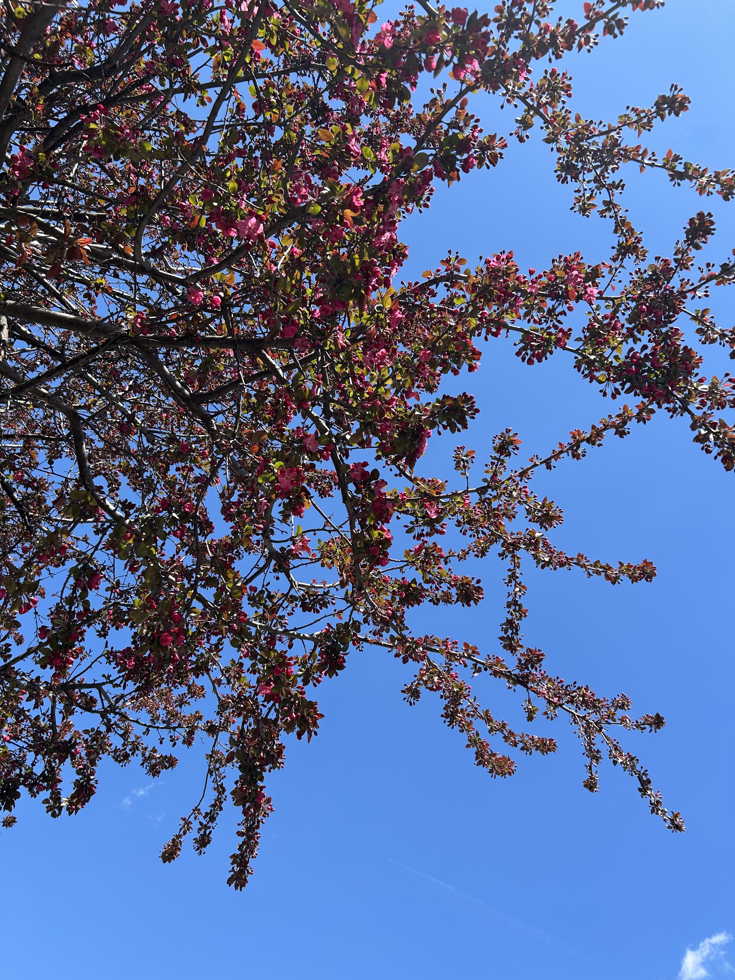 blue skies.jpg