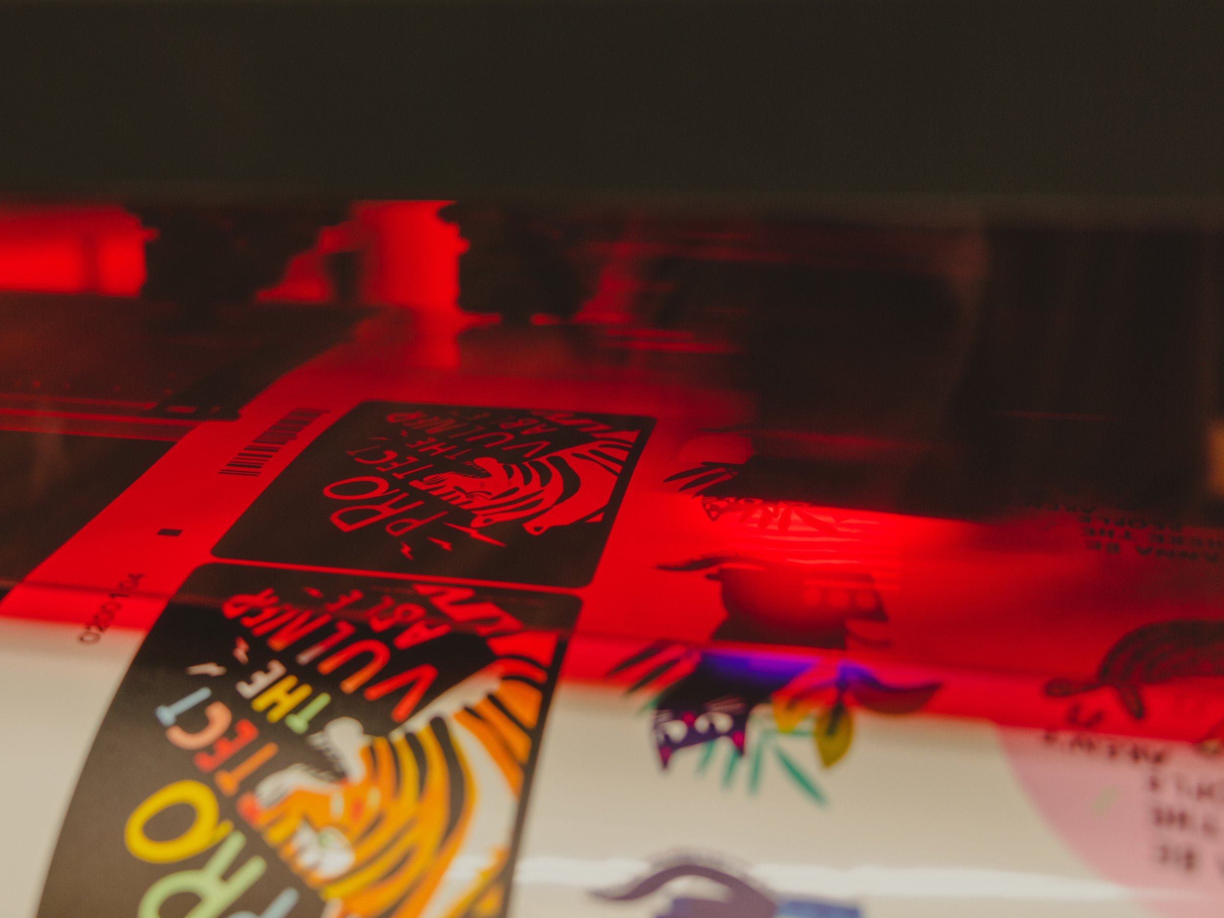 20231029-Bro Prints -30.jpg