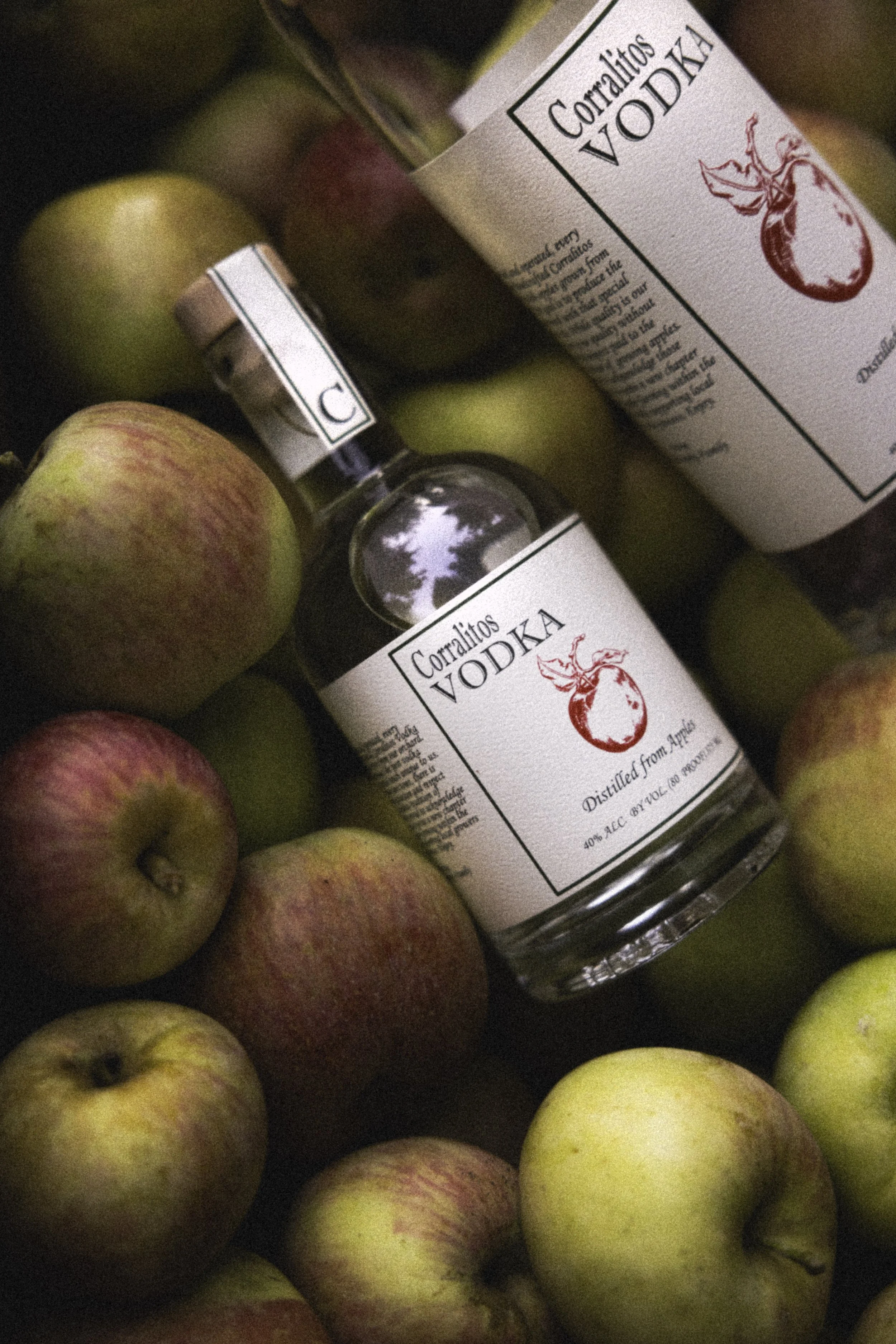 CV 3 (144 of 158)-Edit.jpg