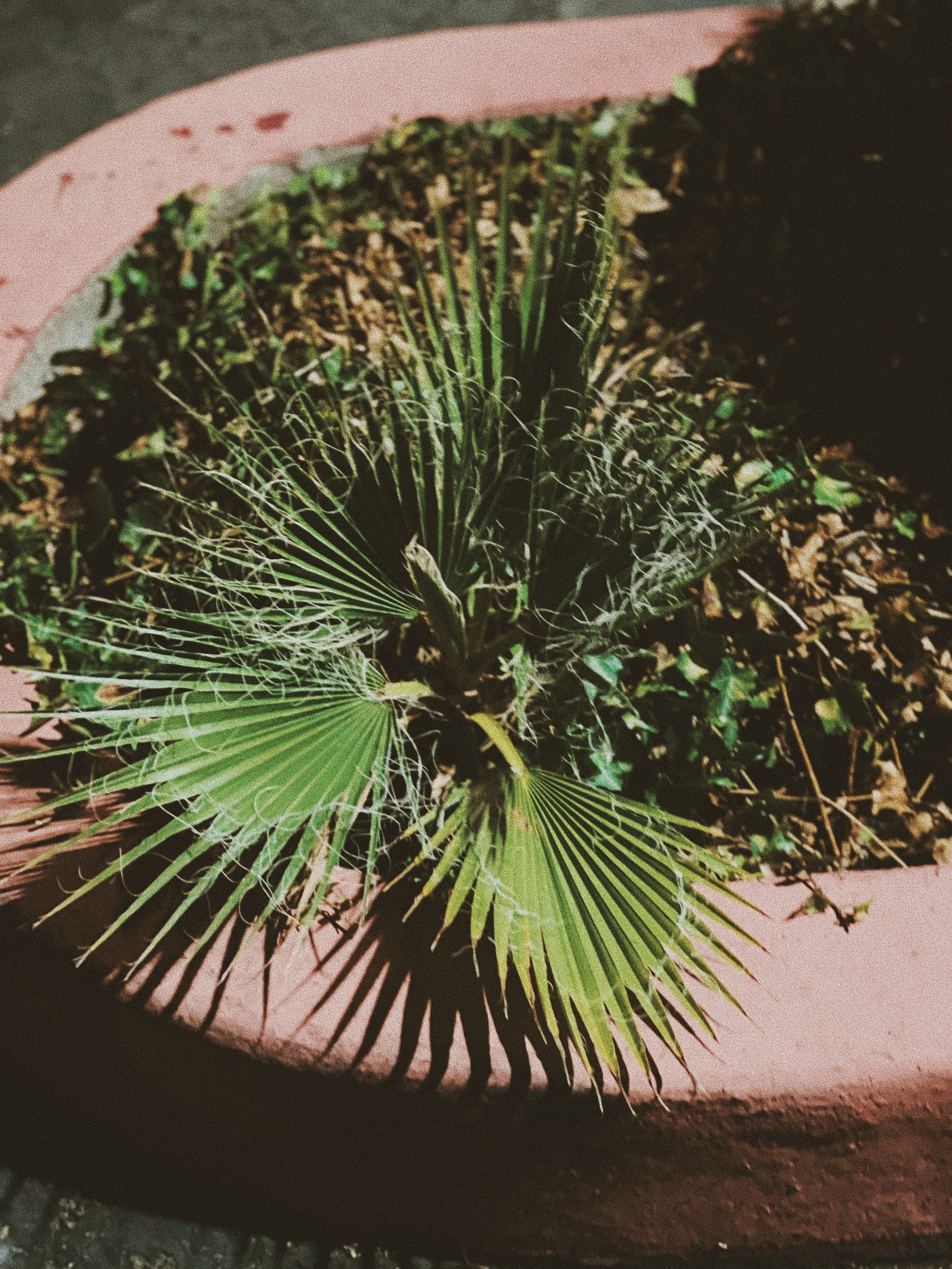 F2FAA72C-C442-45EB-857F-7881B2BFBE39.jpeg