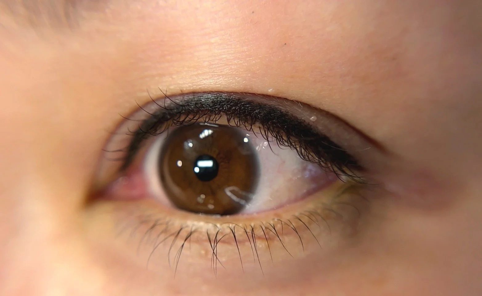 lashliner web.jpg