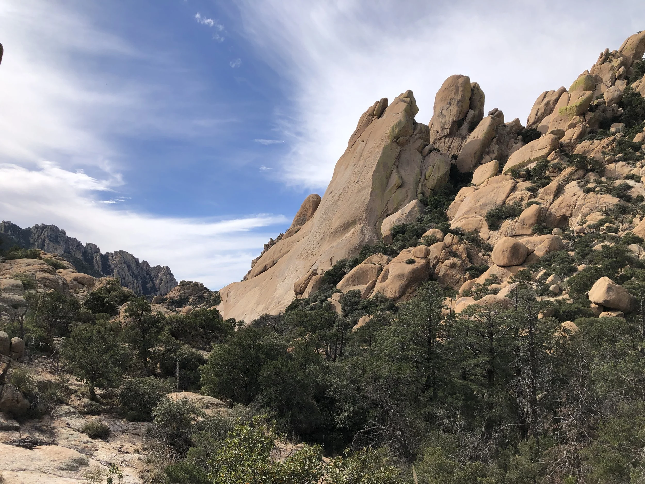 AMGA Single Pitch Instructor Course