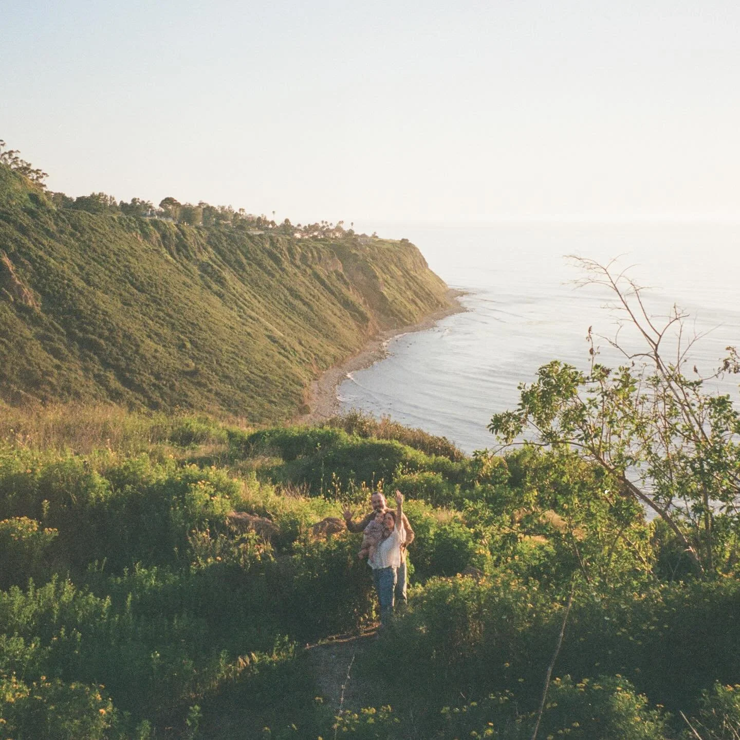GREETINGS FROM PALOS VERDES 🌼🌼🌼

#filmphotographer #familysession #losangelesphotographers #familiesonfilm #35mm