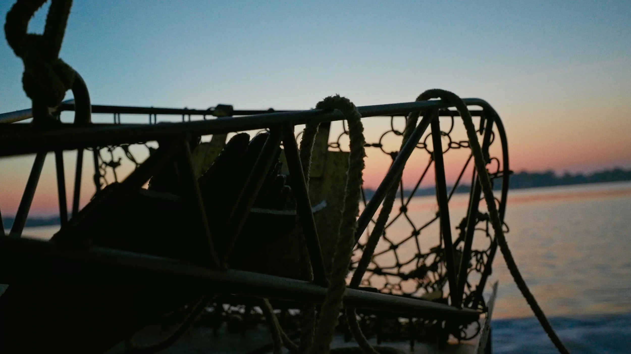 Film - The Bay