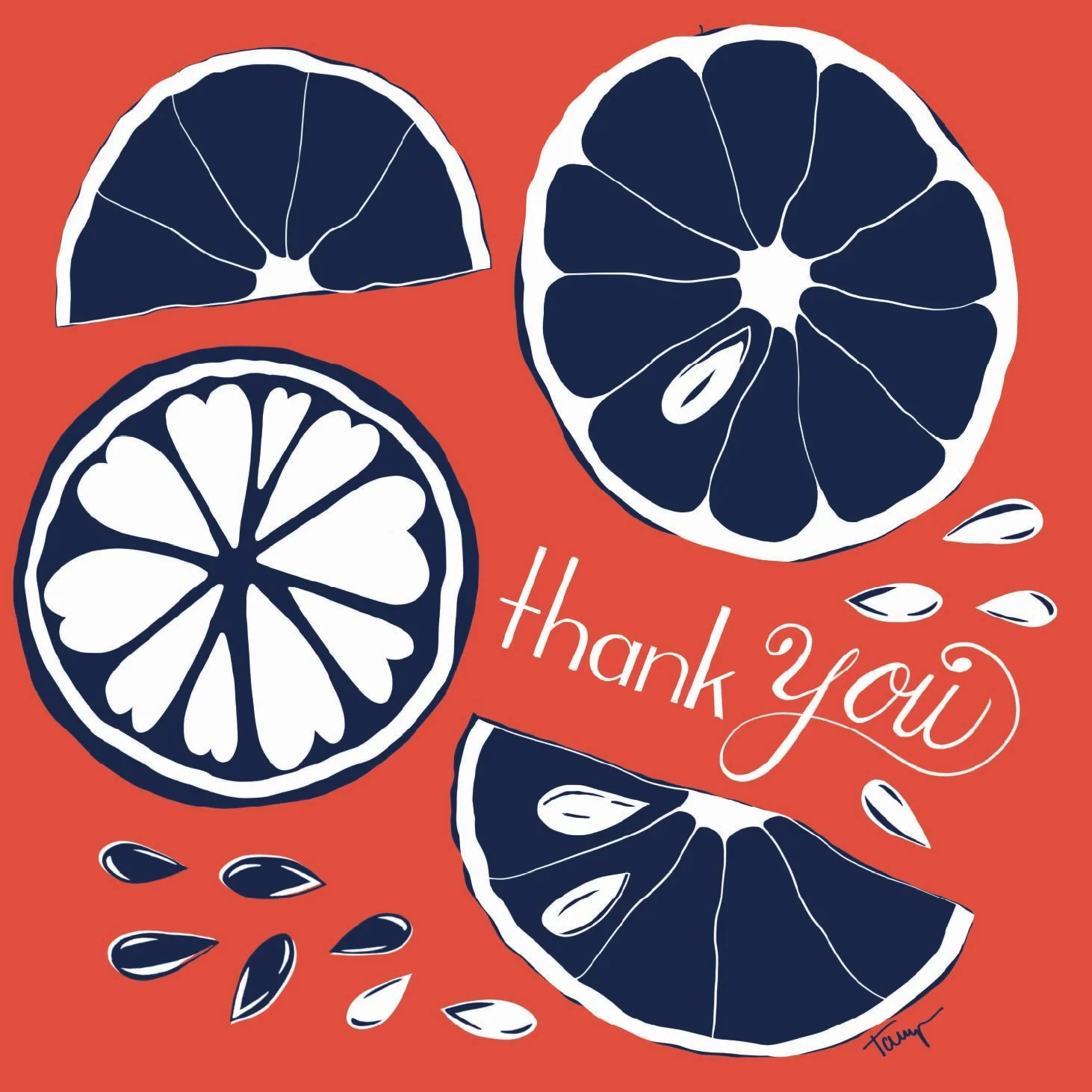 Illustration of navy blue and white citrus slices and seeds on a papaya orange background with the words "thank you" handwritten in white.