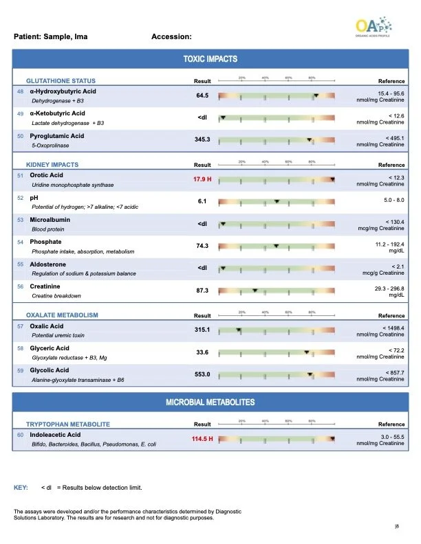 organic-acids-profile-urine-sample-report8.jpg