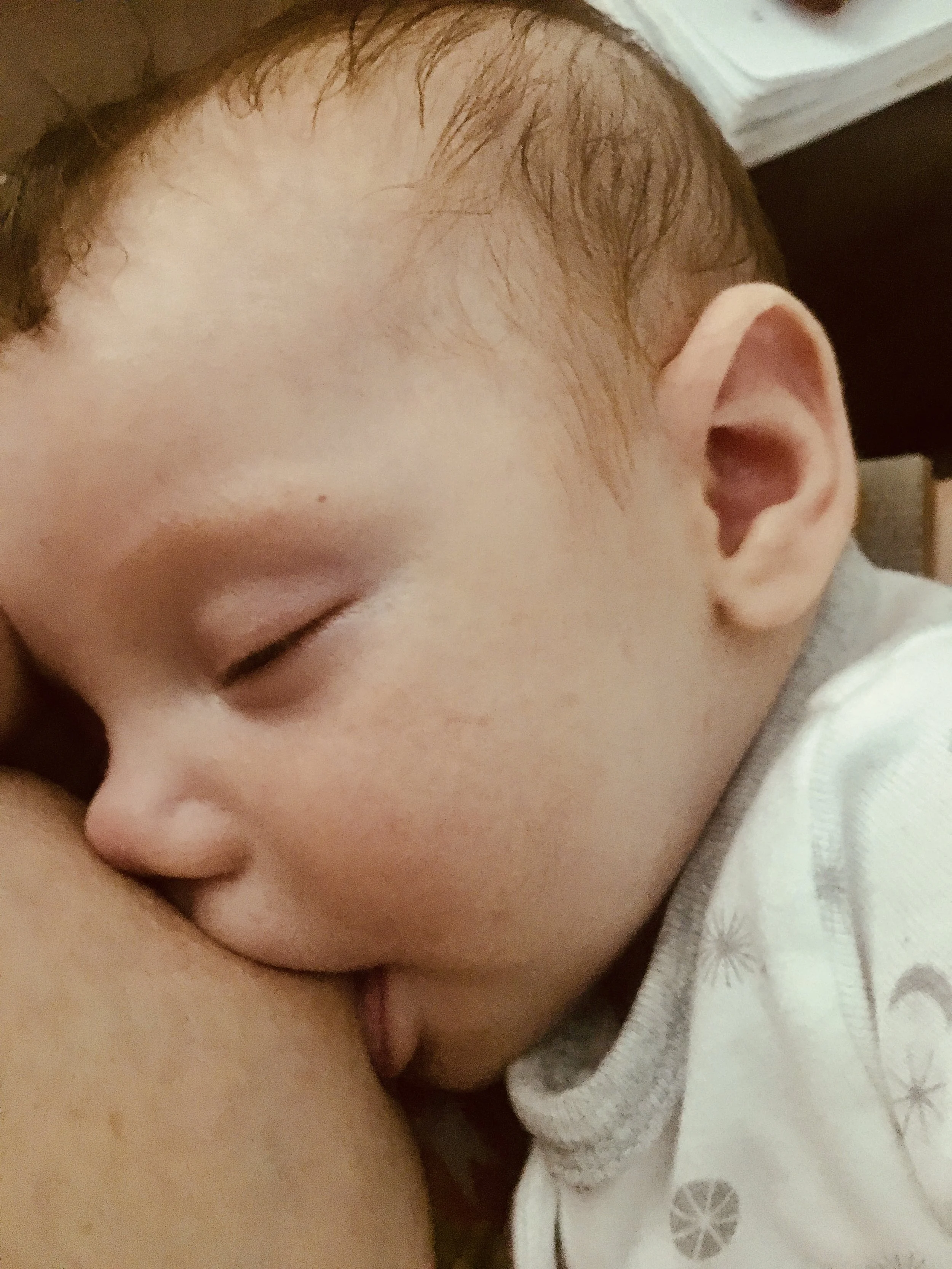 Breastfeeding &amp; the Developing Immune System: A Mother's Story