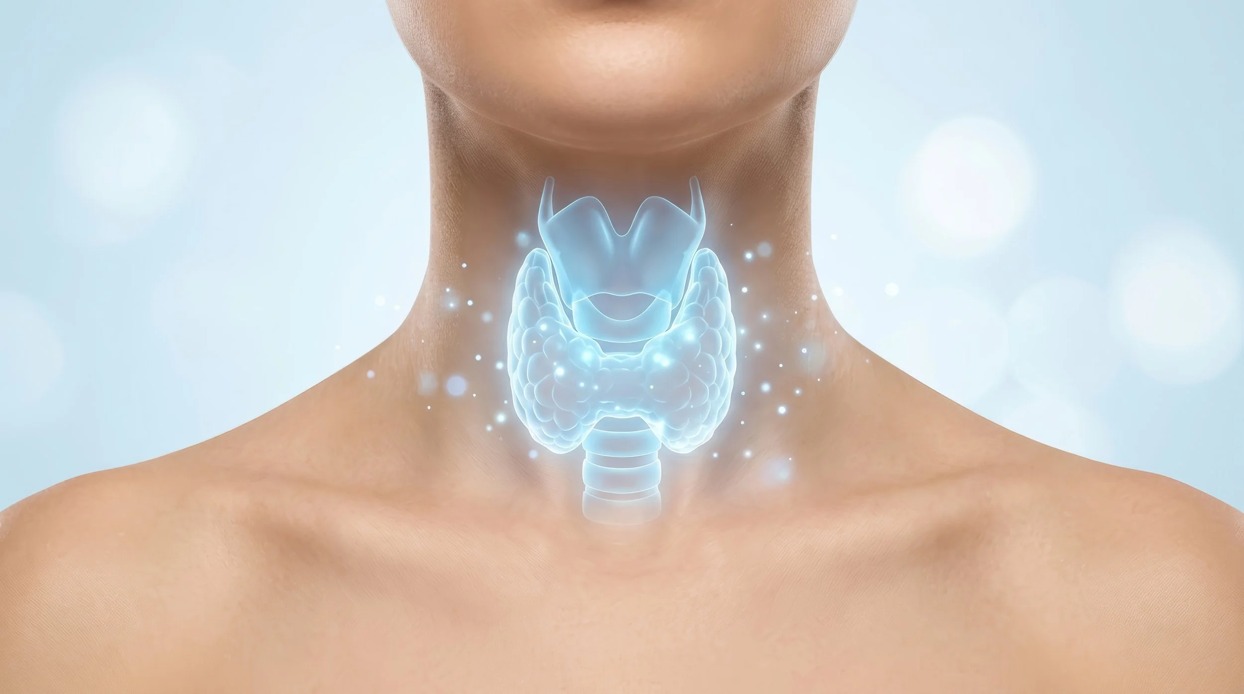 Thyroid Health and Fertility