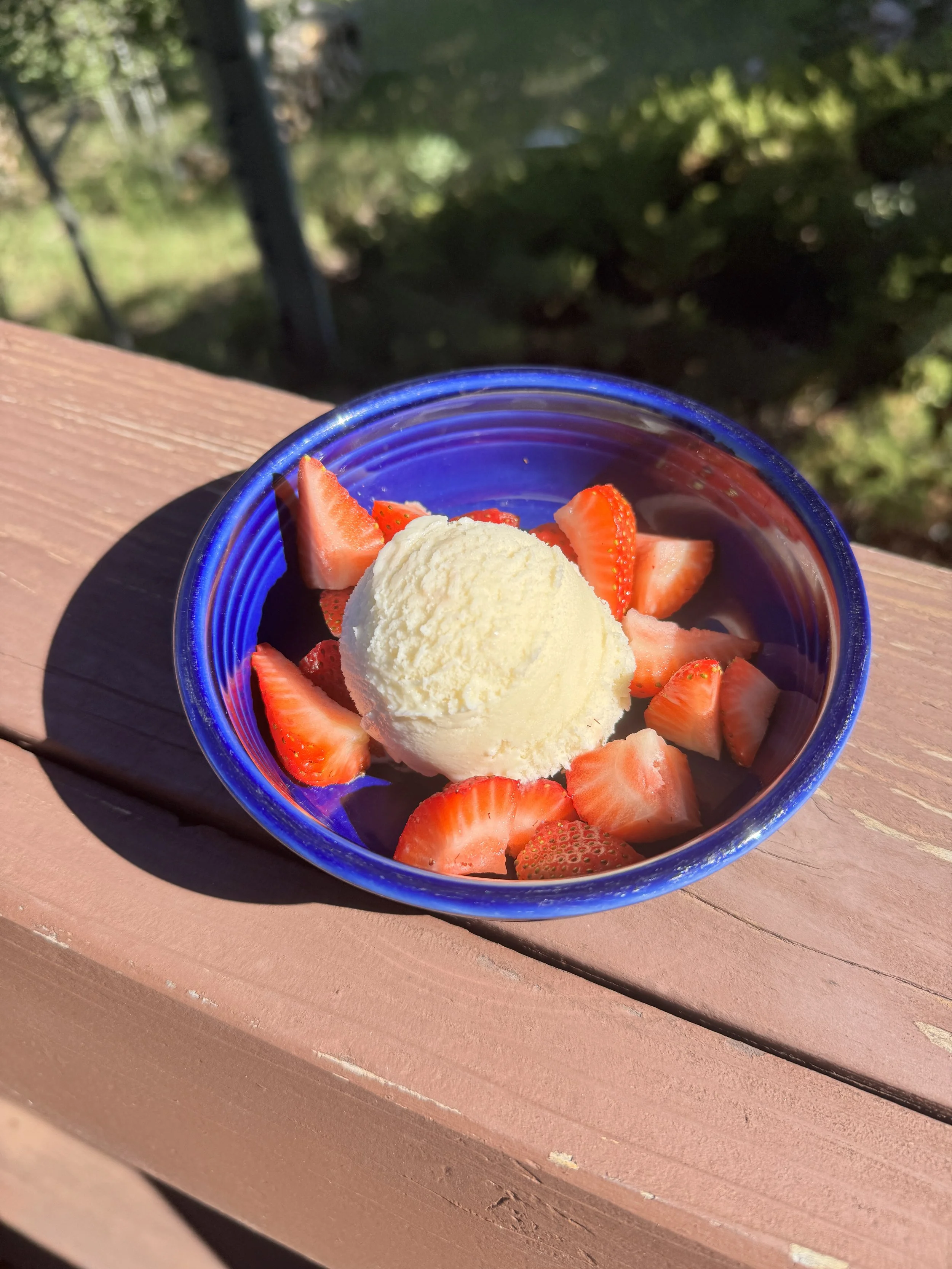 Homemade Ice Cream 