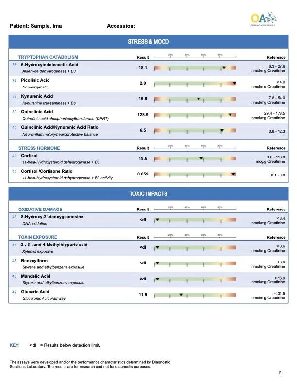 organic-acids-profile-urine-sample-report7.jpg